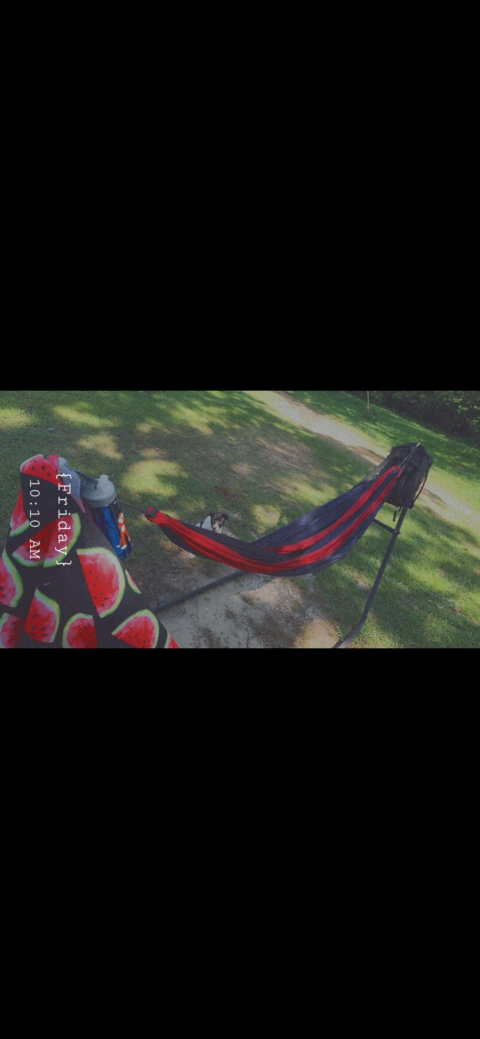 Sunnydaze Universal Heavy-Duty Hammock Stand for Outside, Chains Included | Black, 550 lb Capacity, Fits 9.5-14' Hammocks, Tool-Free Setup, Rust-Resistant Steel Metal 2-Person Double Hammock Frame Only customer photo 2