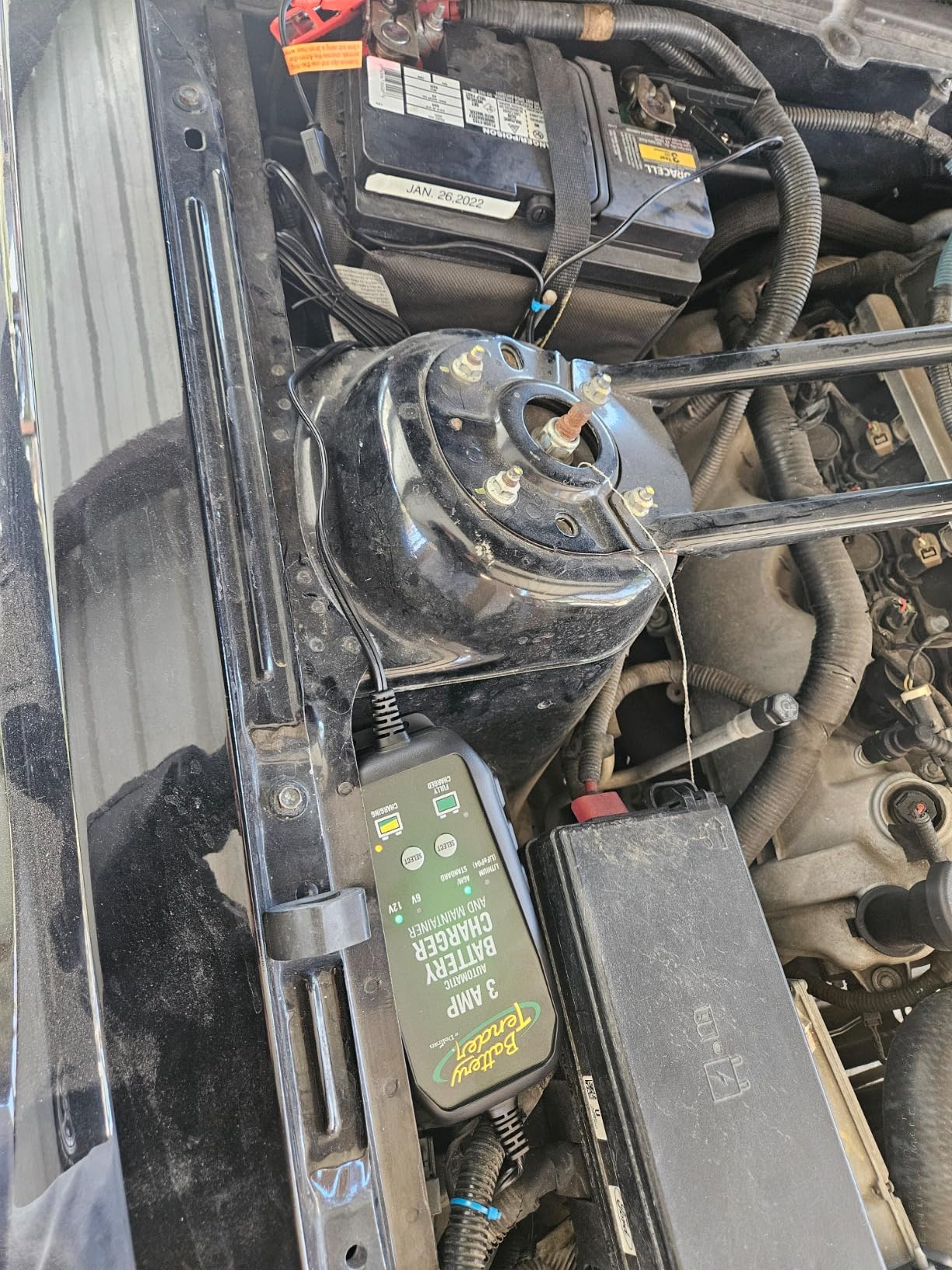 Battery Tender 3 AMP Battery Charger and Maintainer - Automotive Switchable 12V or 6V Smart Automatic for Cars SUVs and Trucks - Lead Acid, AGM, Gel, & Lithium Battery Charger - 022-0202-COS customer photo 1