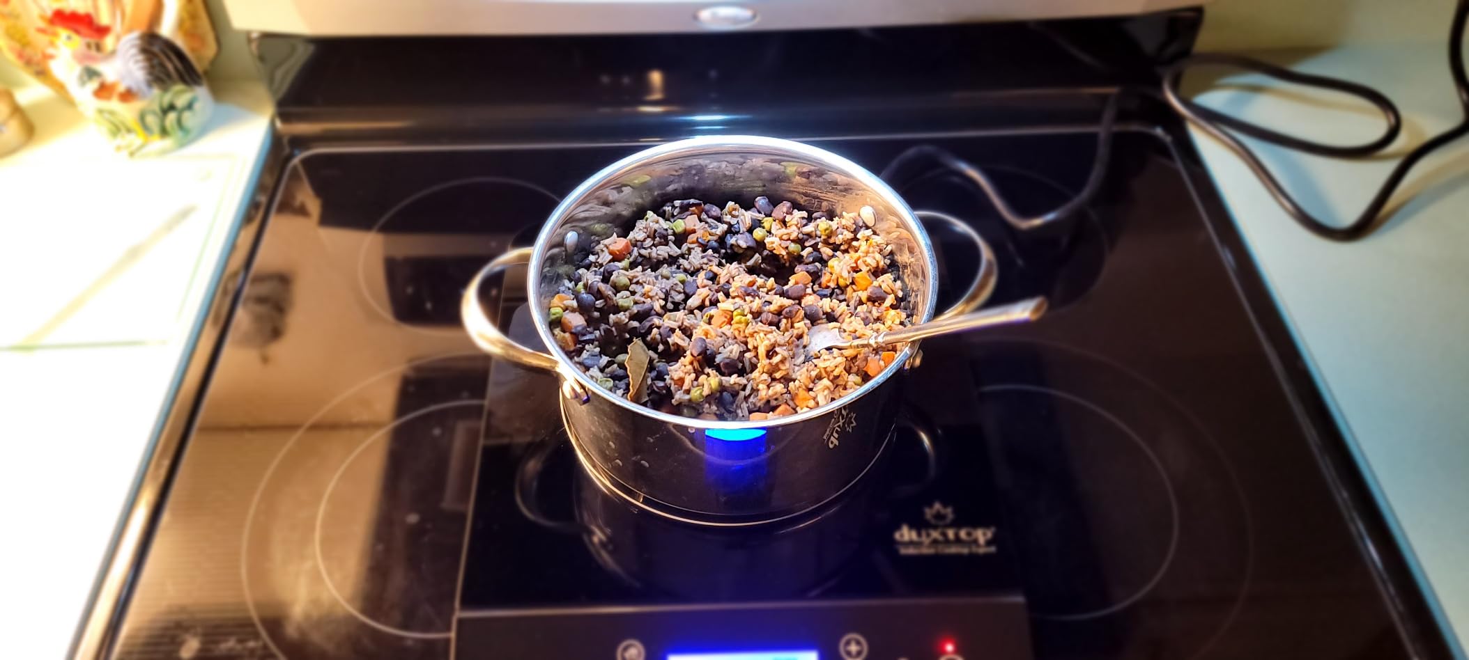 Duxtop Portable Induction Cooktop, Countertop Burner 1800W Silver 9600LS, Induction Hot Plate with LCD Sensor Touch BT-200DZ customer photo 2