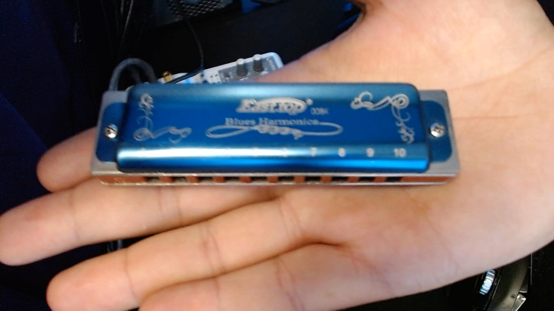 East top Harmonica Key of C, 10 Holes 008K Diatonic Mouth Organ with Blue Case, Standard Harmonica For Adults, Professionals, Beginners and Students, as a Gift customer photo 1