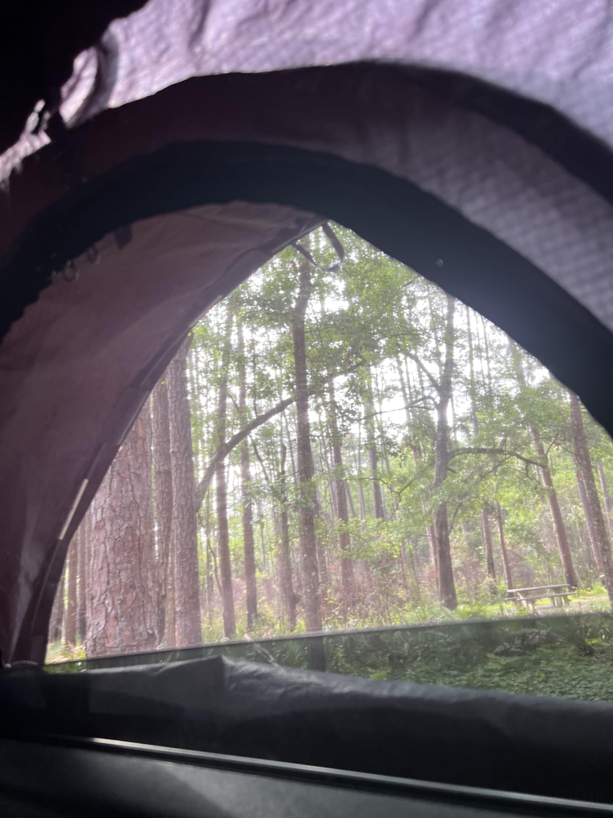 ROADIE The OVERNIGHTER SUV Window Tent with Bug Screen and Retractable Awning customer photo 1