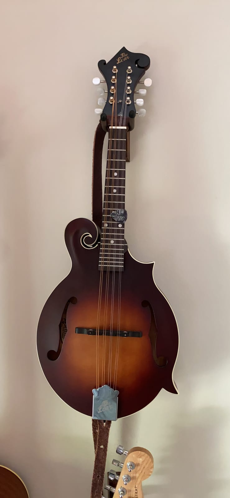 The Loar LM-310F-BRB Honey Creek F-Style Mandolin (Loar) customer photo 2