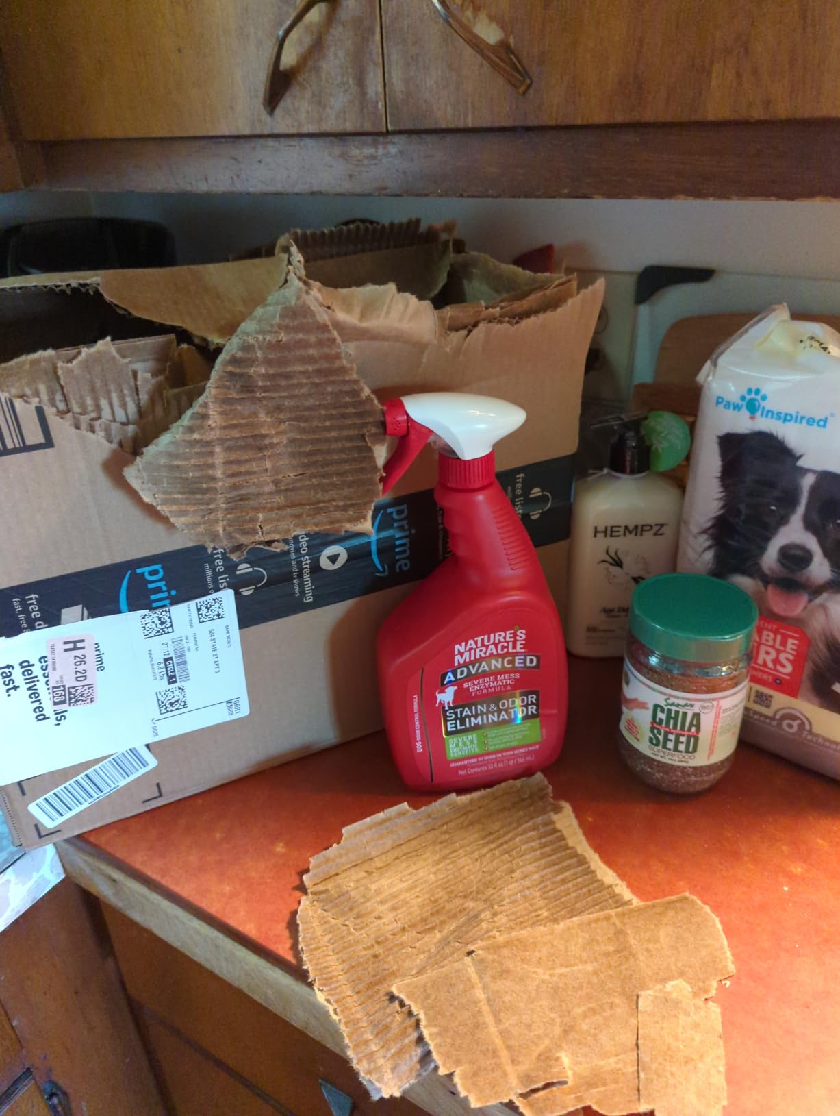 Nature's Miracle Advanced Dog Stain & Odor Eliminator, Severe Mess, 32 oz customer photo 2