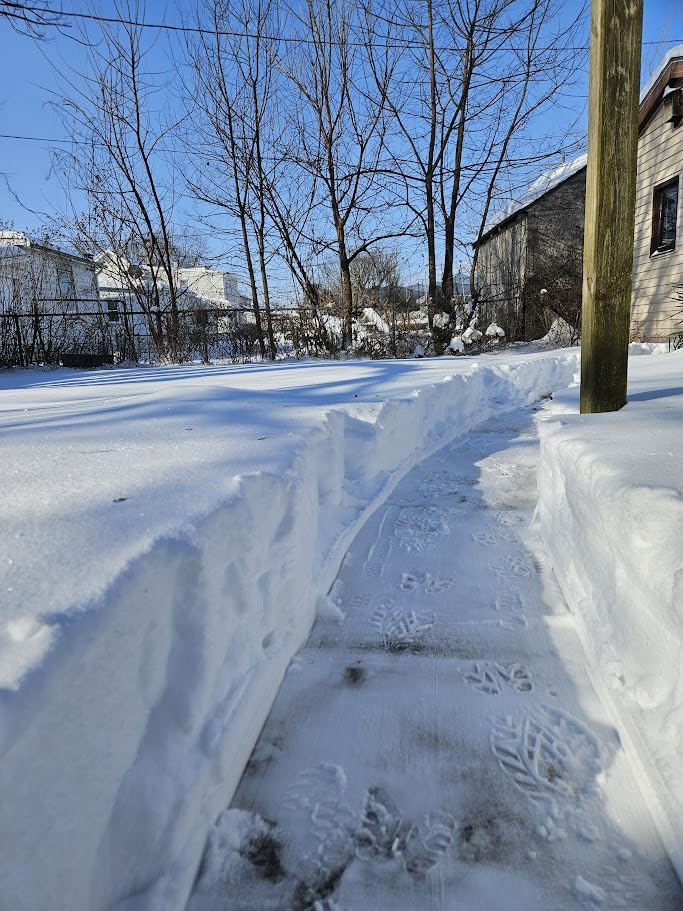 Earthwise SN74016 40-Volt Cordless Electric Snow Shovel, Brushless Motor, 16-Inch width, 300lbs/Minute (Battery and Charger Included) customer photo 1