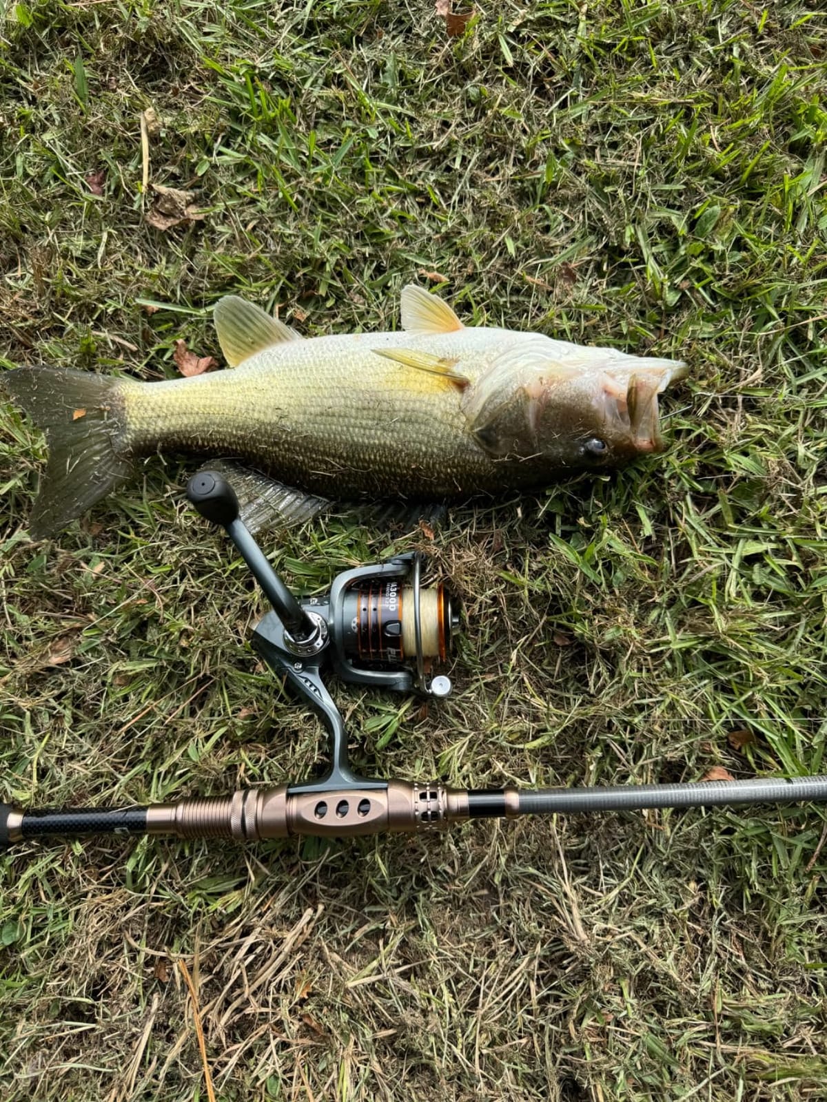 PLUSINNO Fishing Rod and Reel Combos Carbon Fiber Telescopic Fishing Pole with Reel Combo Sea Saltwater Freshwater Kit Fishing Rod Kit customer photo 1