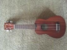 Kala KA-15T Satin Mahogany Tenor Ukulele Bundle with Gig Bag, Tuner, Austin Bazaar Instructional DVD, and Polishing Cloth customer photo 2