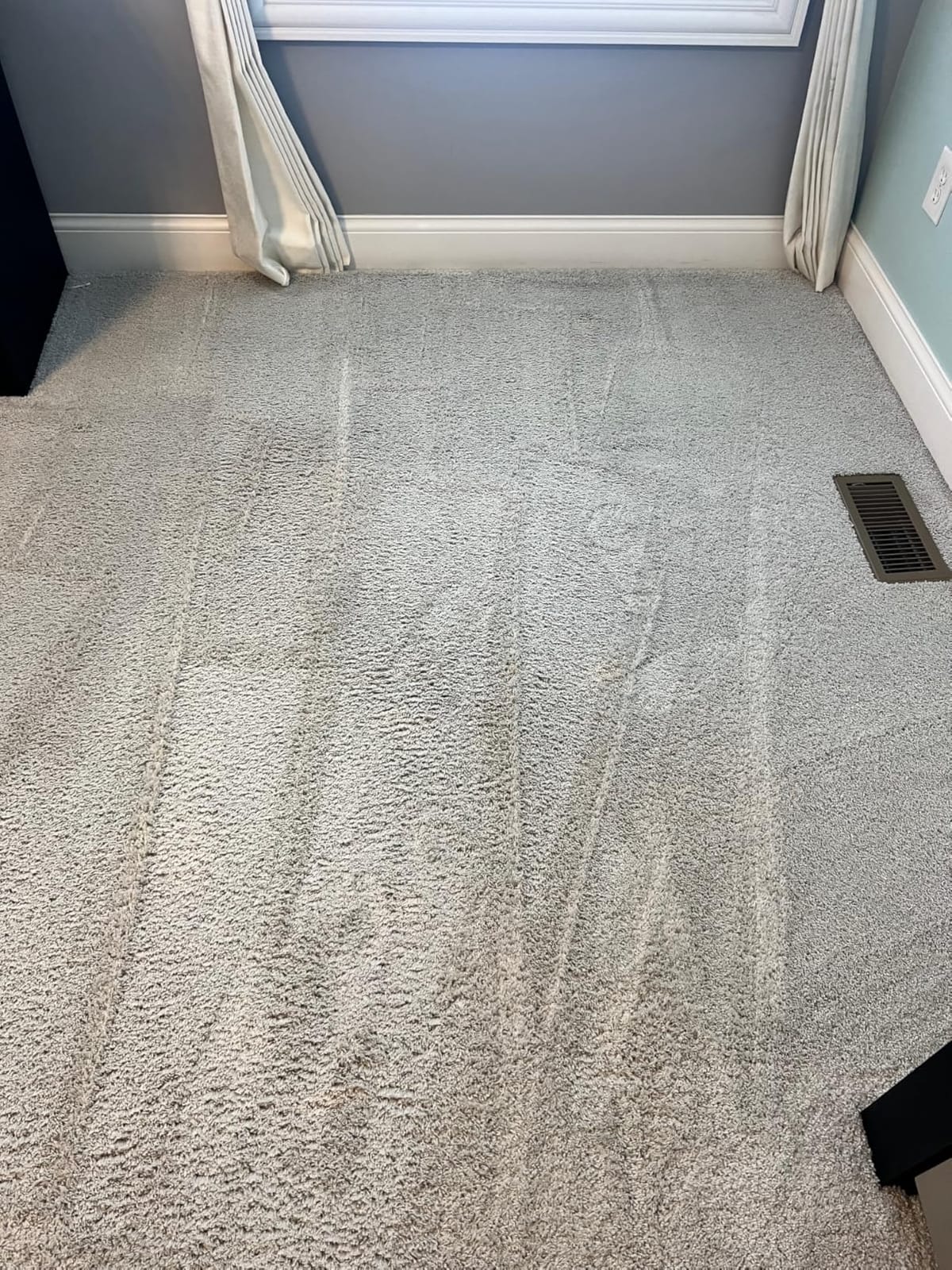 Bissell PET PRO OXY Urine Eliminator with Febreze Carpet Deep Clean Solution, 48oz customer photo 1