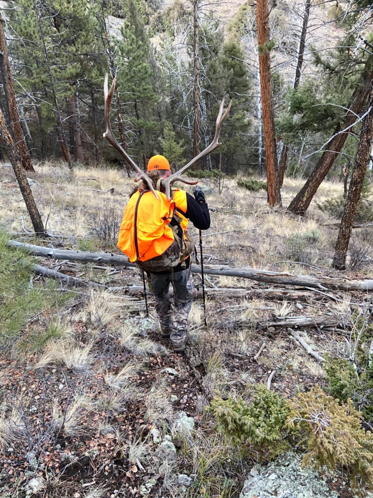 ALPS OutdoorZ Extreme Hybrid X, Coyote Brown customer photo 2