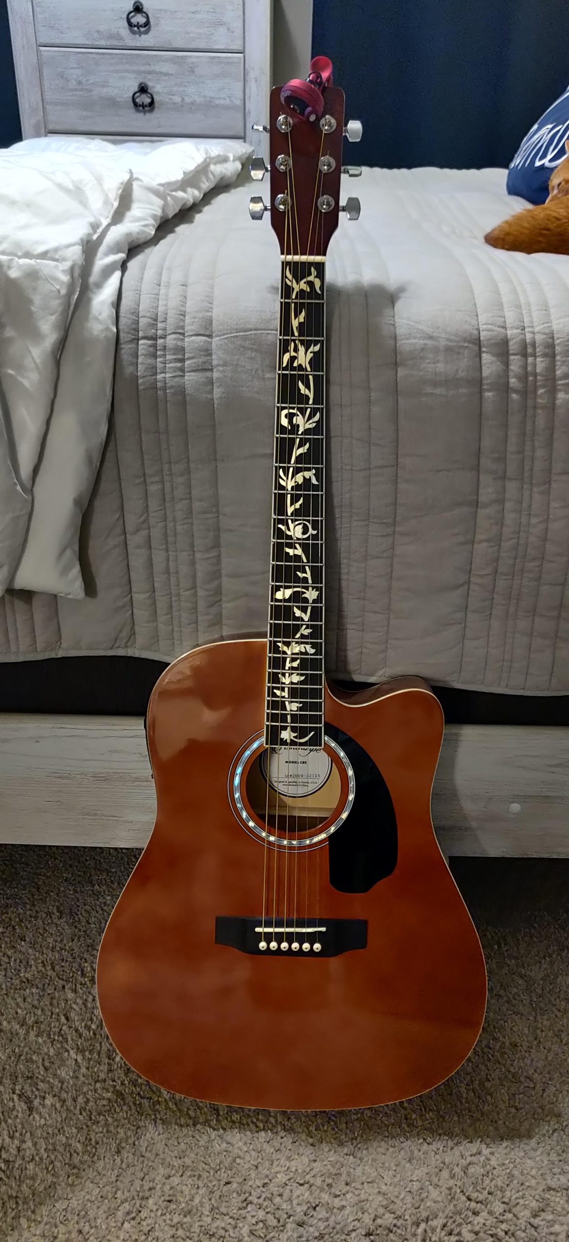 Ashthorpe Full-Size Cutaway Thinline Acoustic-Electric Guitar Package - Premium Tonewoods - Black customer photo 2