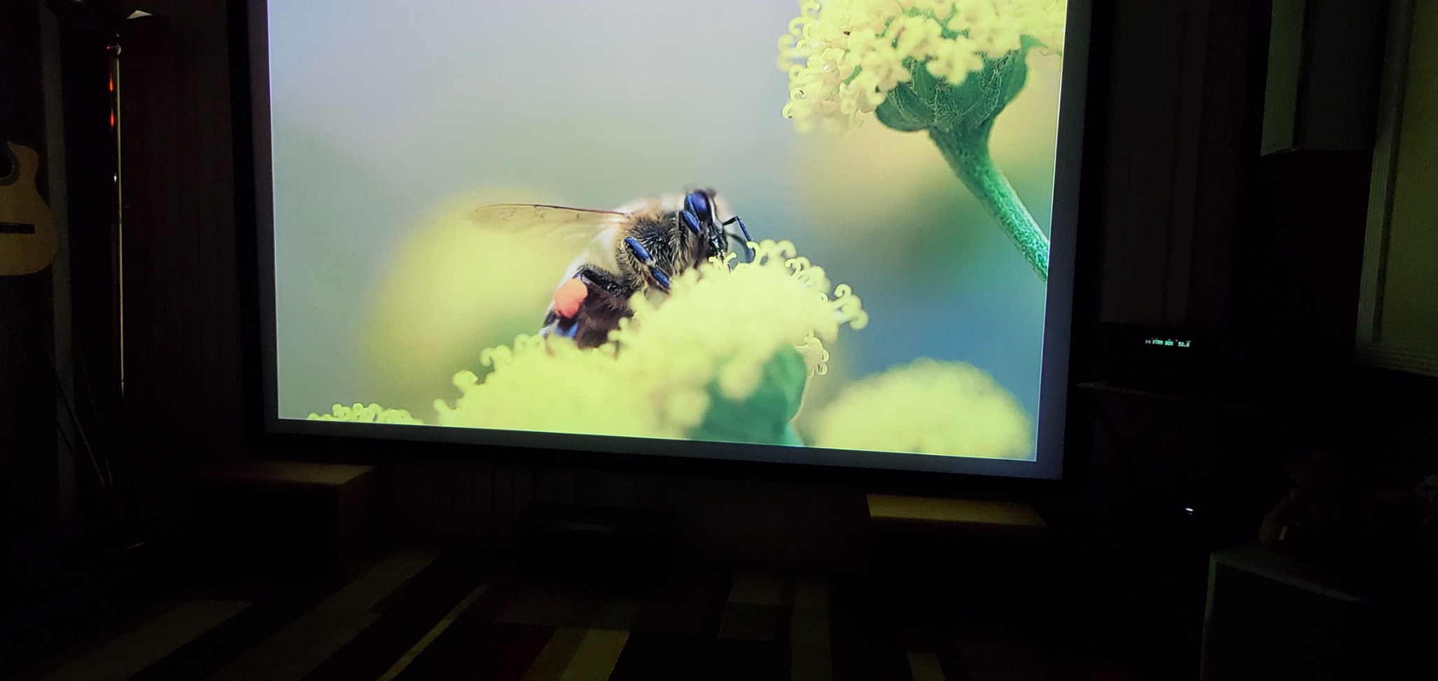 VEVOR Projector Screen 120 inch Outdoor Projector Screen 16:9 Movie Screen Fixed Frame 3D Projector Screen for 4K HDTV Movie Theater customer photo 2