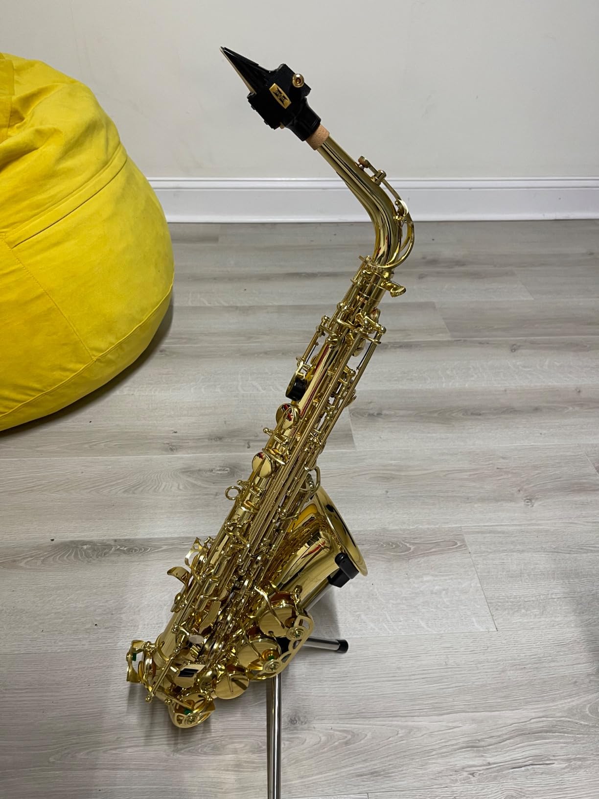 Eastar Student Alto Saxophone E Flat for Beginner Sax Full Kit with Carrying Case, Mouthpiece, Straps, Reeds, Stand, Golden Lacquer, AS-Ⅱ customer photo 2