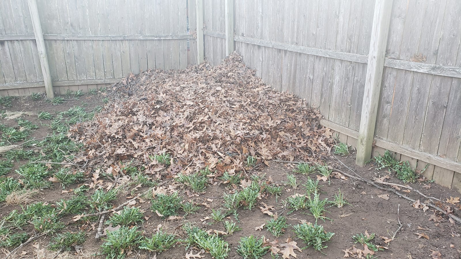 Schröder Backpack Leaf Blower - Backpack Blower - Gas Leaf Blower - SR-6400L - 3.7 HP Engine customer photo 1