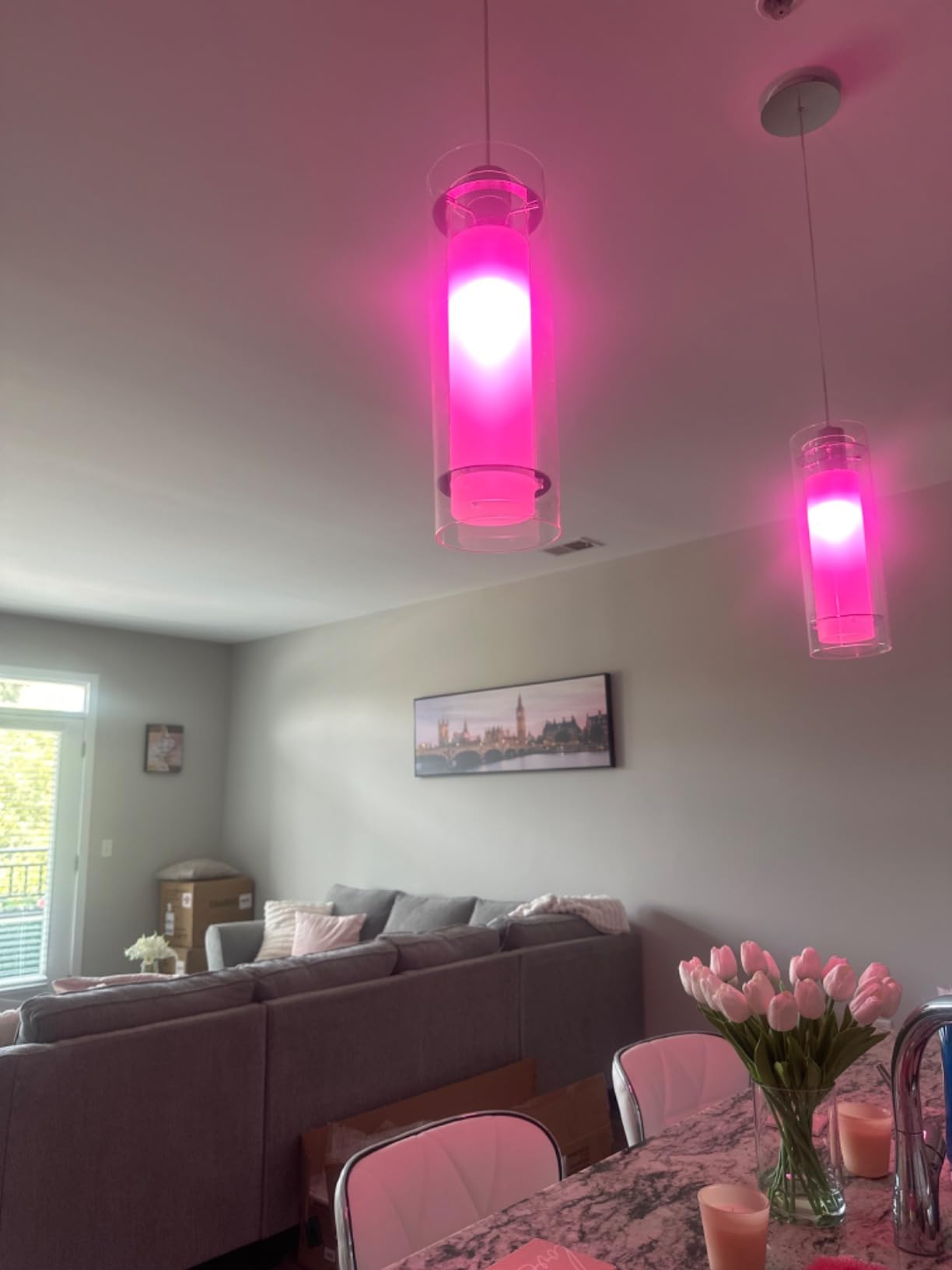 Philips Hue Smart 60W A19 LED Bulb - White and Color Ambiance Color-Changing Light - 2 Pack - 800LM - E26 - Indoor - Control with Hue App - Works with Alexa, Google Assistant and Apple Homekit customer photo 2