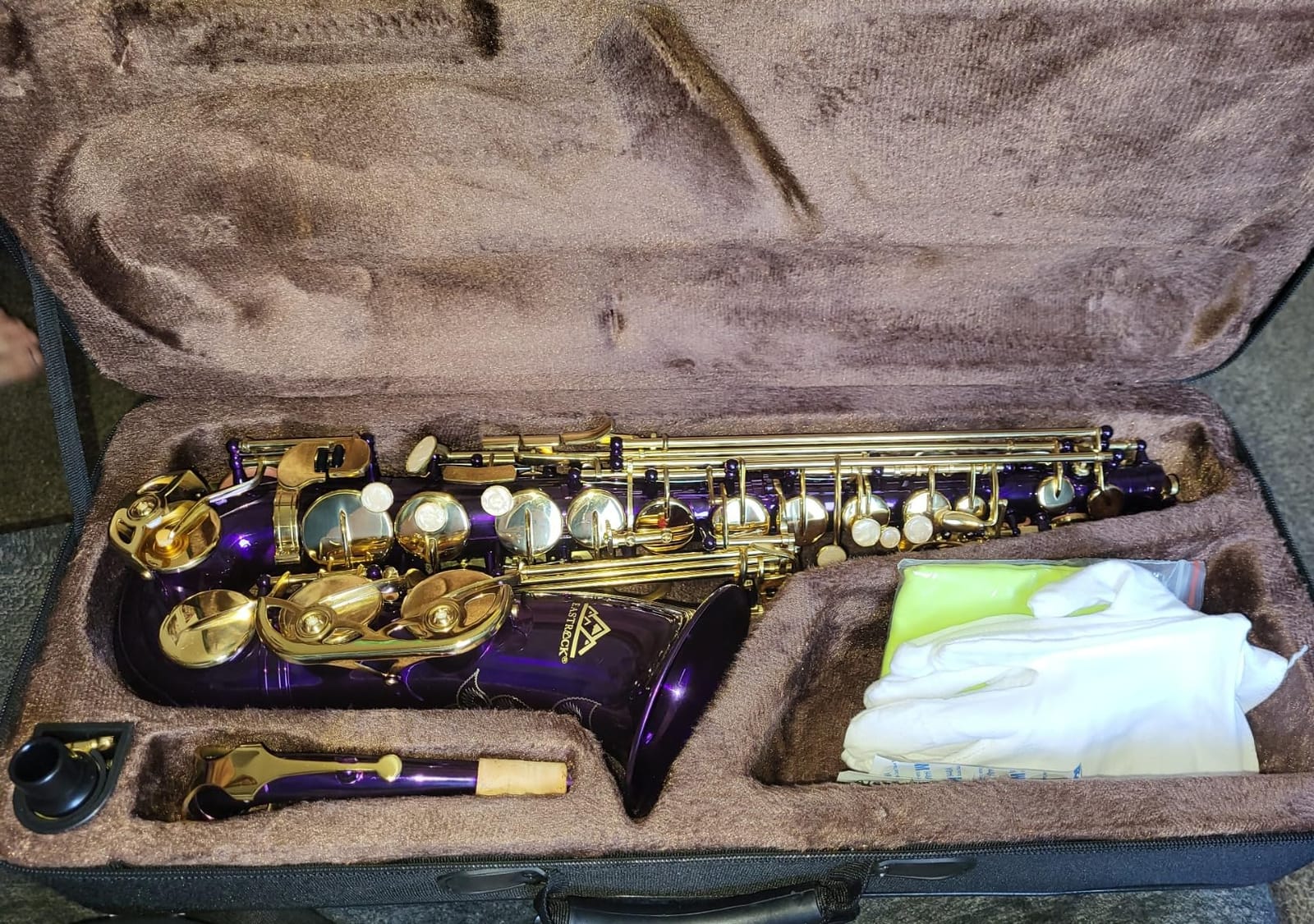 EASTROCK E Flat Alto Saxophone Gold Alto Sax for Beginners and Students | Alto Sax Kit-Carrying Case, Mouthpiece, Reeds, Cushion Pads, Cleaning Kit, Gloves, Neck Strap for Practice & Performance customer photo 1