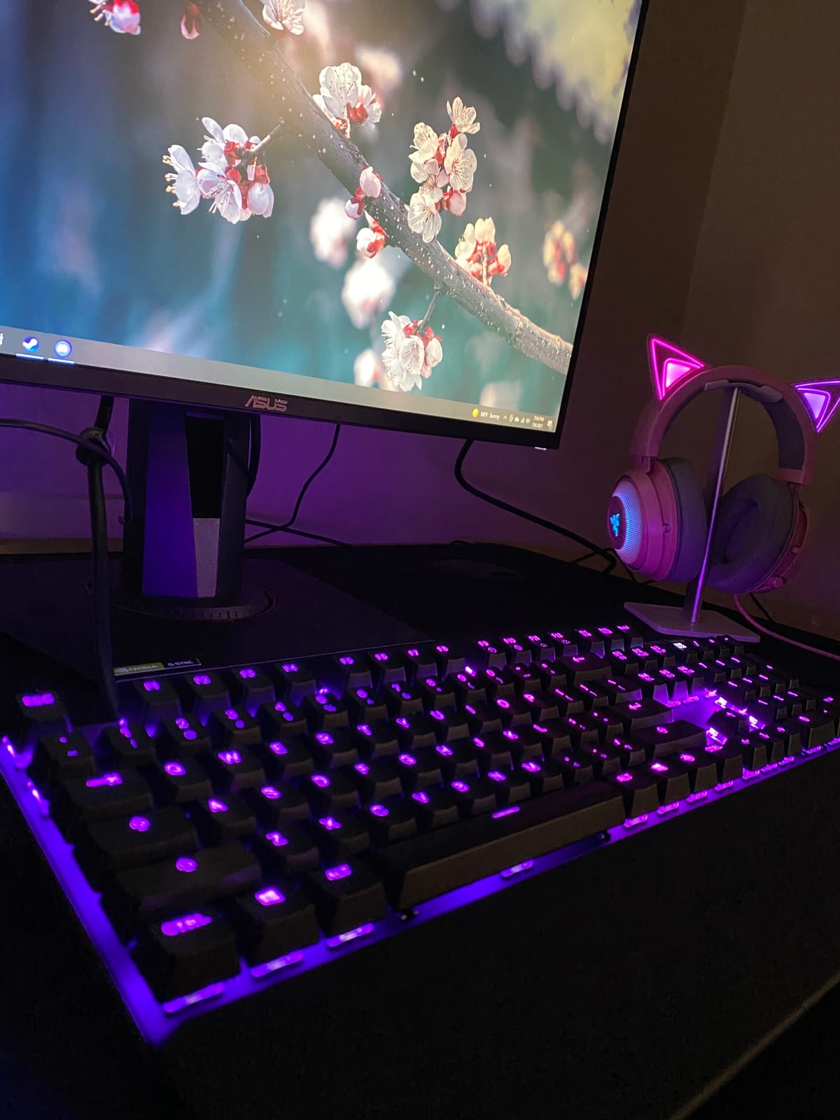 SteelSeries Apex 7 Mechanical Gaming Keyboard - OLED Smart Display - USB Passthrough and Media Controls - Tactile and Clicky - RGB Backlit (Blue Switch) customer photo 2