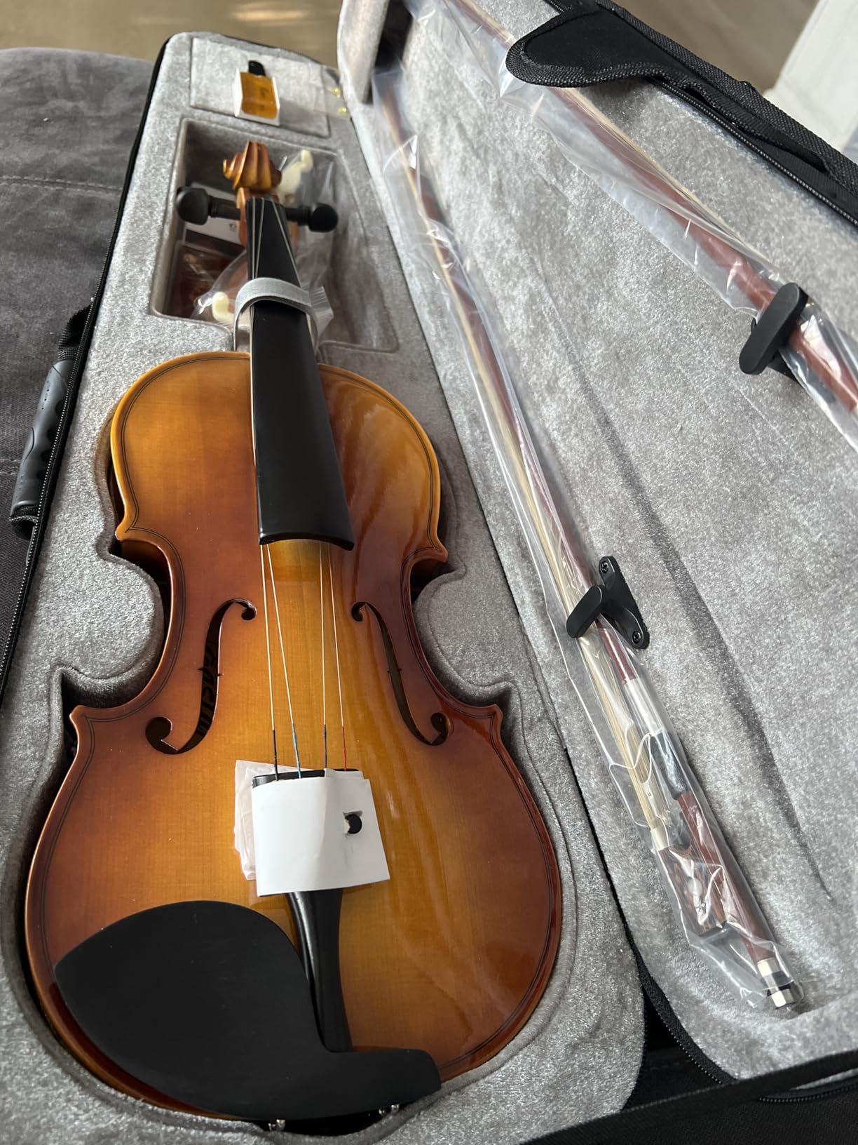 Eastar 4/4 Violin Set Full Size Fiddle Solidwood for Adults with Hard Case, Shoulder Rest, Rosin, Two Bows, Clip-on Tuner and Extra Strings, EVA-330 customer photo 2
