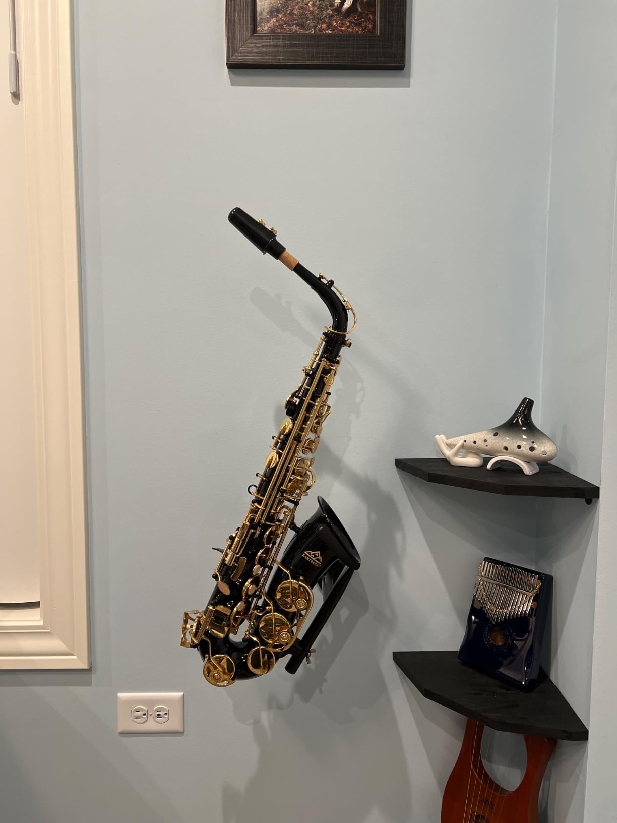 EASTROCK E Flat Alto Saxophone Blue/Golden Sax for Beginners and Students | Alto Sax Kit-Carrying Case, Mouthpiece, Reeds, Cushion Pads, Cleaning Kit, Gloves, Neck Strap for Practice & Performance customer photo 2