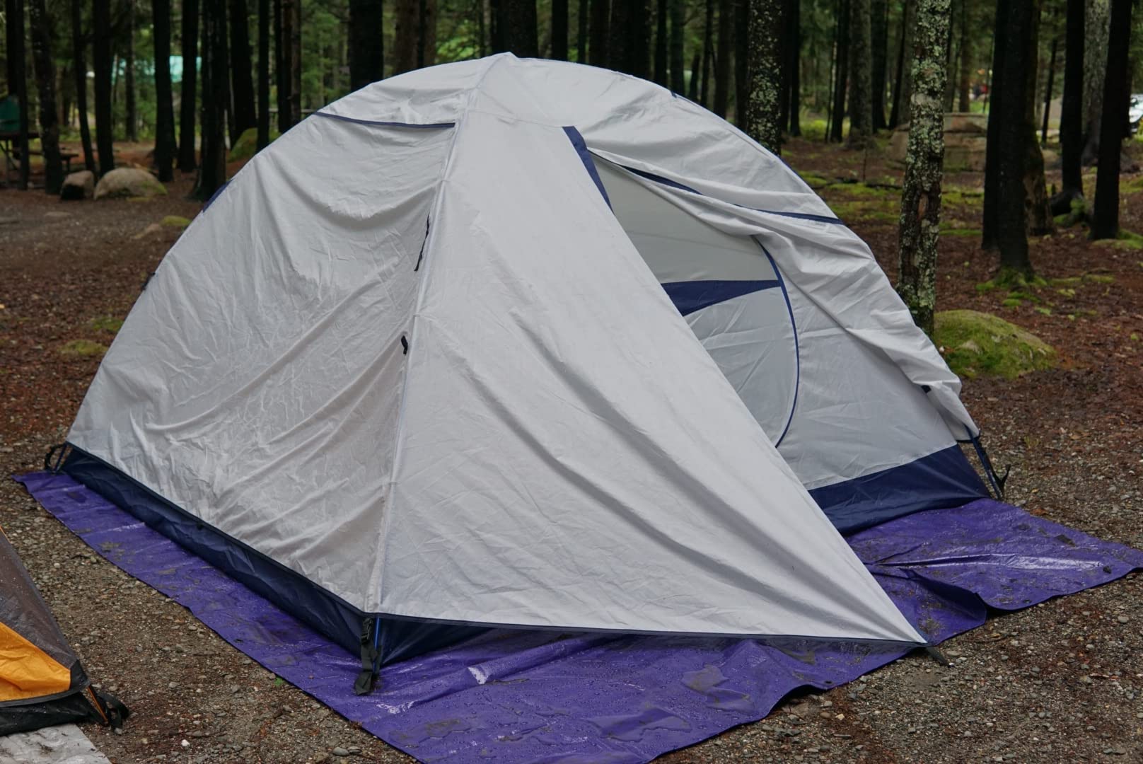 ALPS Mountaineering Lynx 3-Person Tent customer photo 1