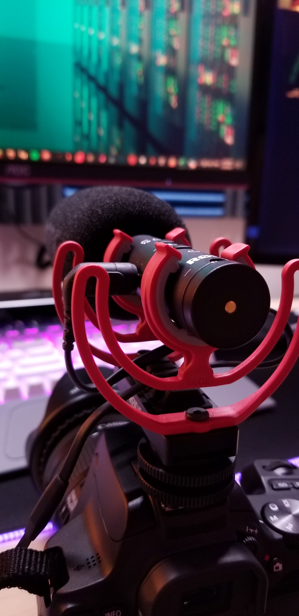VideoMic NTG Camera-mount Shotgun Microphone, Black | Supercardioid shotgun microphone with variable gain and USB output for cameras, smartphones and computers customer photo 1