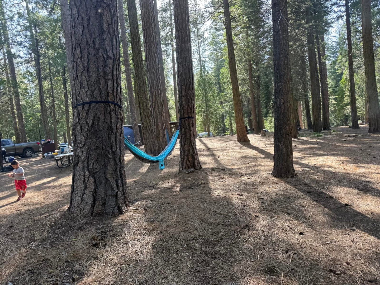 Kootek Camping Hammock 500lbs Capacity Outdoor Camping Essentials, Double | Outside&Indoors, Tree-Friendly Straps, Attached Carry Bag, 210T Parachute Nylon, D-Shaped Carabiners, Lightweight, Hand Wash customer photo 1