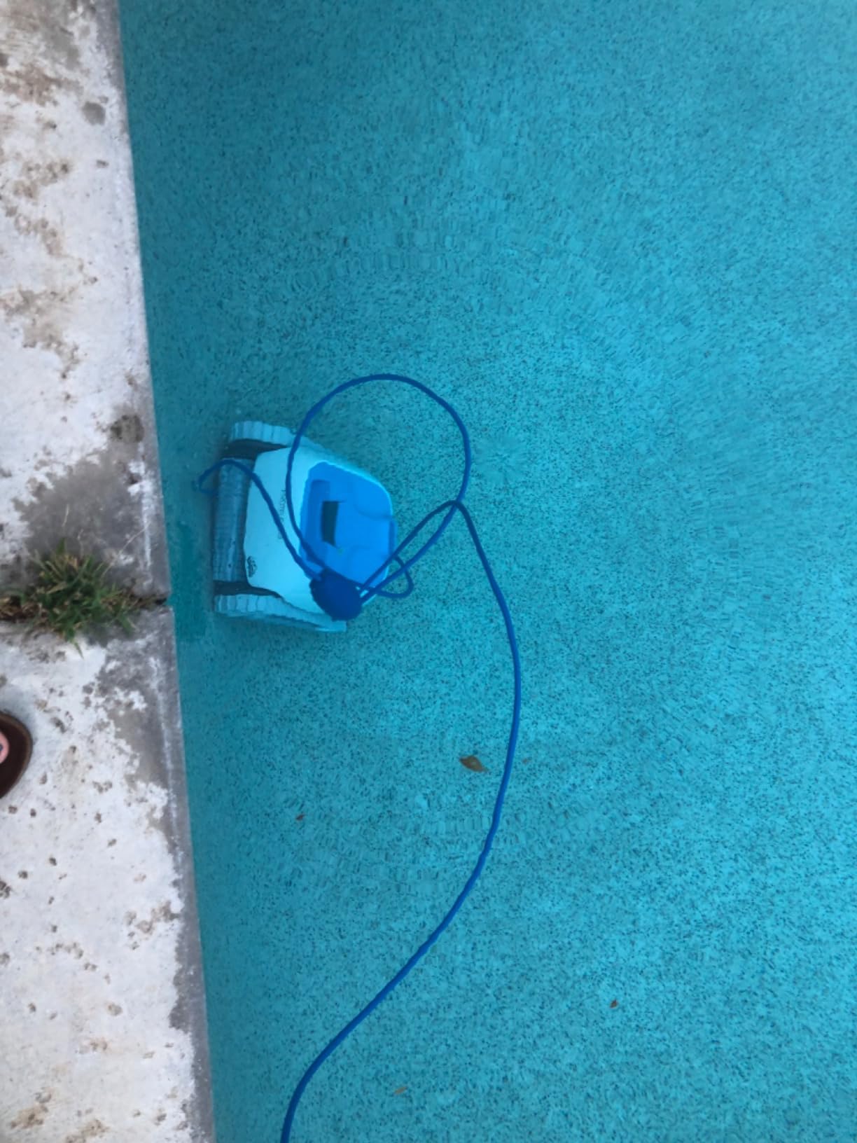 Dolphin Proteus DX3 Automatic Robotic Pool Vacuum Cleaner, Wall Climbing, Active Scrubber Brush, Ideal for In-ground Pools up to 33 FT in Length customer photo 1