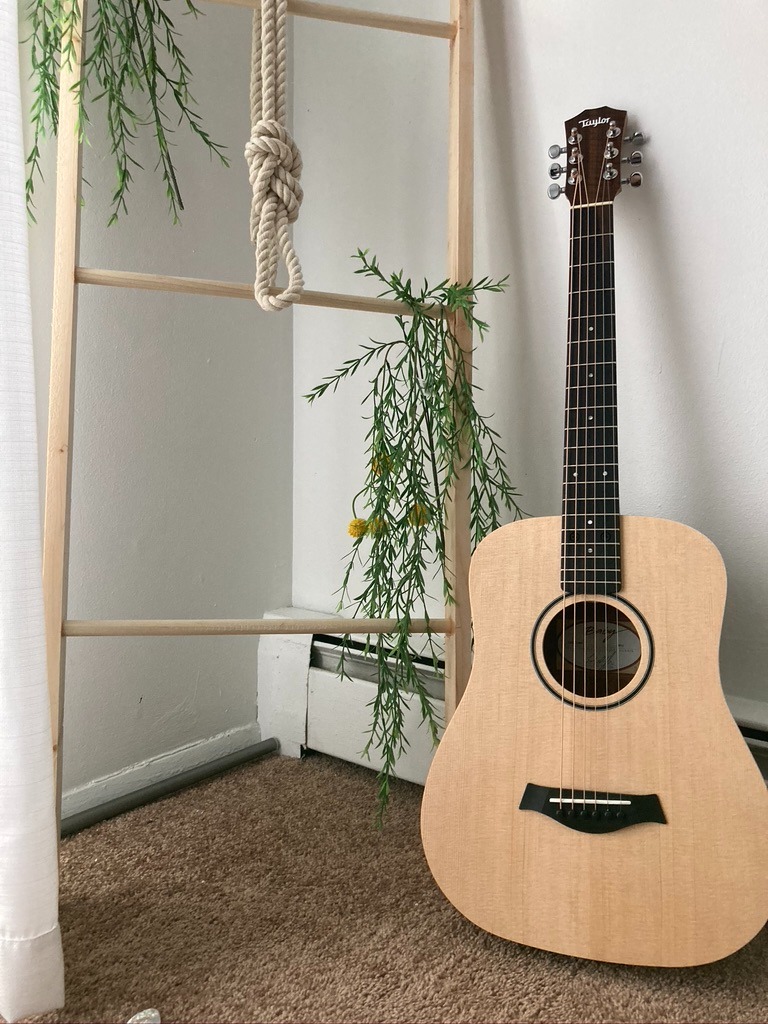 Taylor Baby Taylor BT1 Walnut Acoustic Guitar - Natural Sitka Spruce customer photo 1