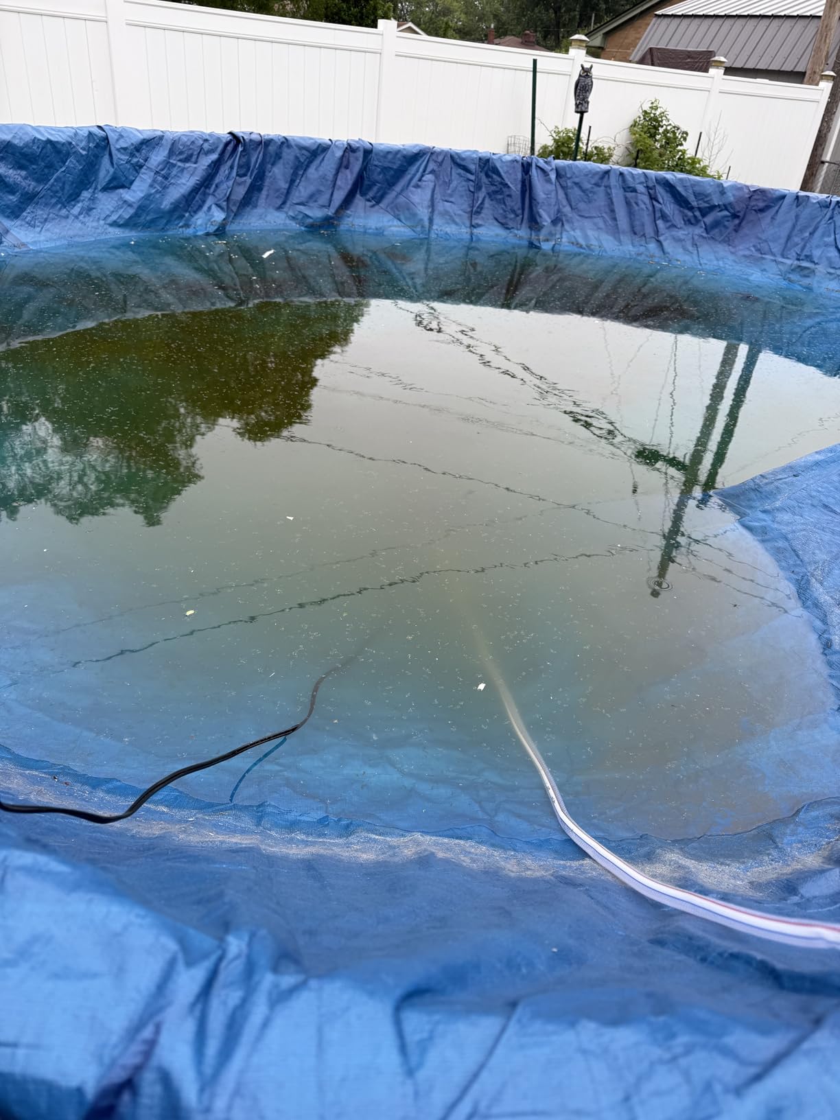 AgiiMan 850GPH Pool Cover Pump, Submersible Sump Pump above Ground | 16FT Drain Hose, 25FT Power Cord, 3 Adapters, Compact Design, Fast Water Removal for Pool Covers and Above Ground Pools customer photo 2