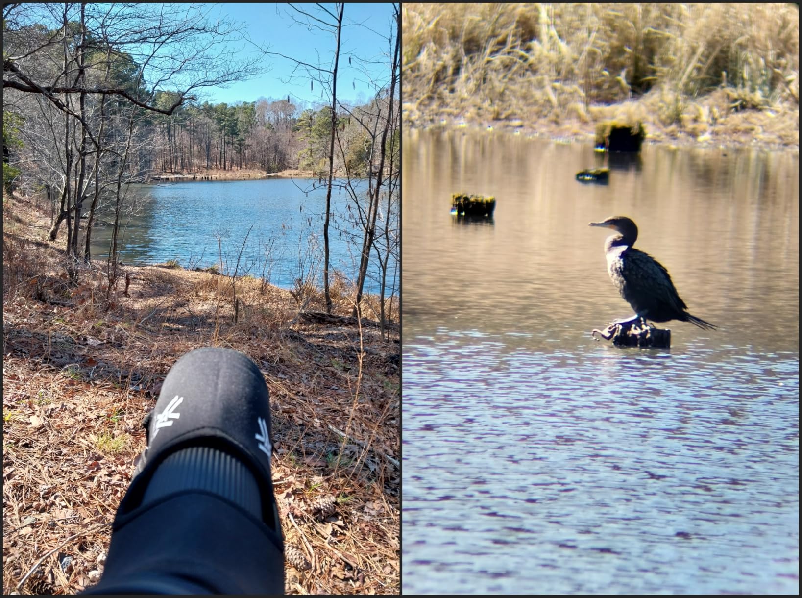 Vortex Diamondback HD 16-48x65 Angled Spotting Scope customer photo 1