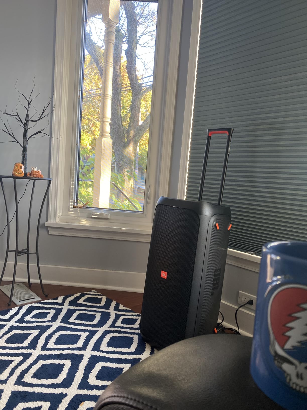 JBL Partybox 310 - Portable Party Speaker with Long Lasting Battery, Powerful JBL Sound and Exciting Light Show, Black customer photo 2