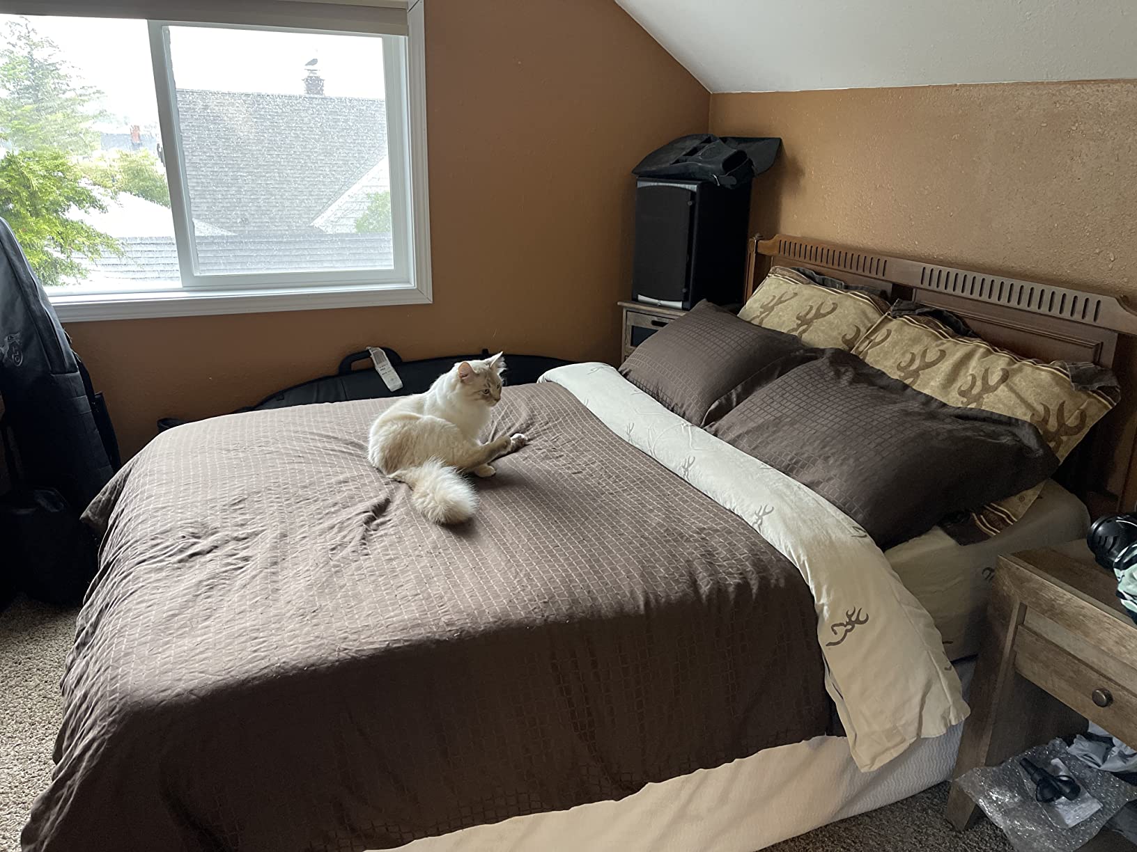Sierra Designs Queen & Single Camping Air Bed Mattress for Car Camping, Travel, and Camp (Pump Included) customer photo 2
