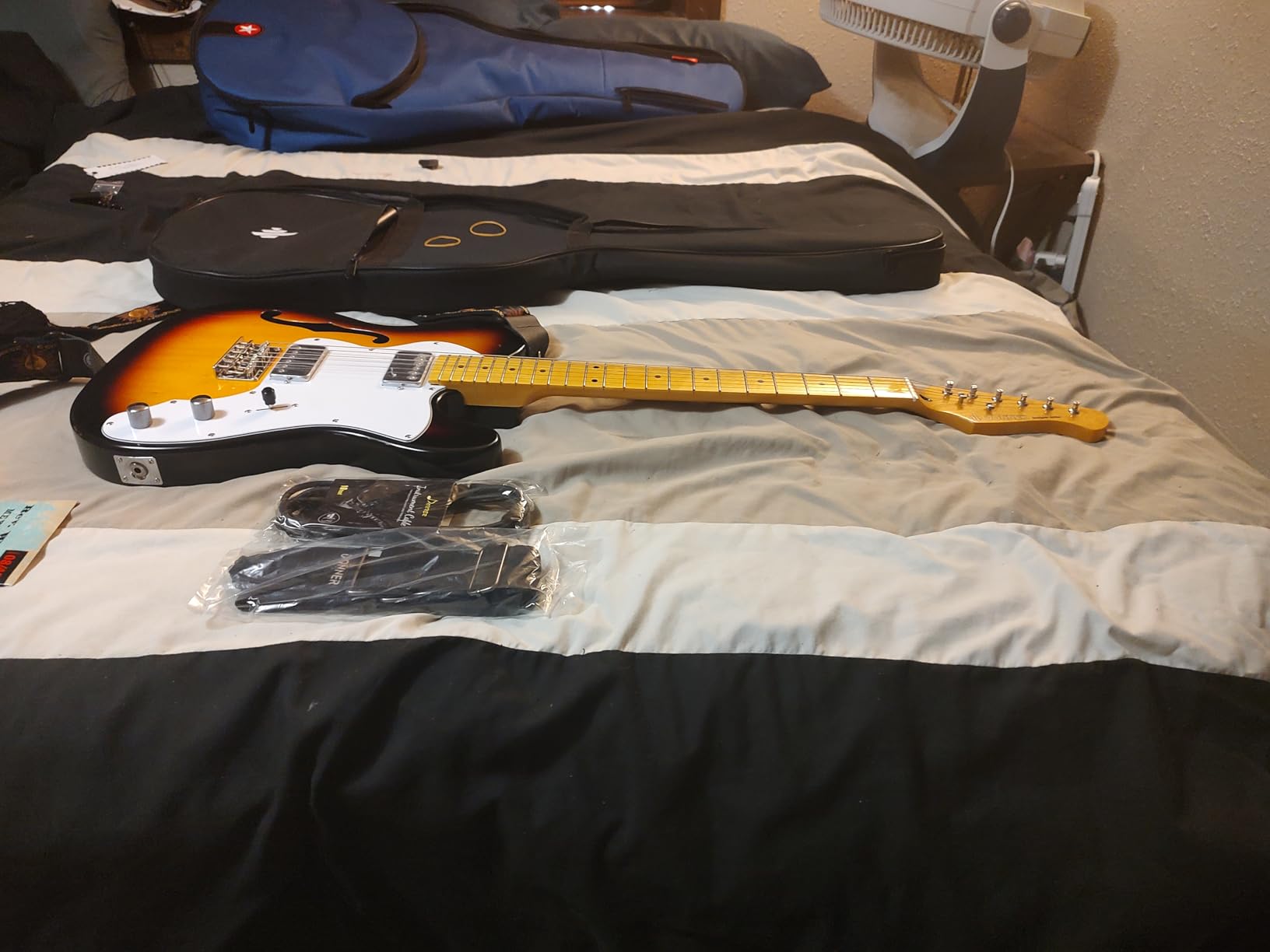 Donner 39 Inch Jazz Electric Guitar TL Thinline F Hole Beginner Full Size Hollow Guitar with H-H Pickups, Bag, Strap, Cable, Sunburst (DJC-1000S) customer photo 2