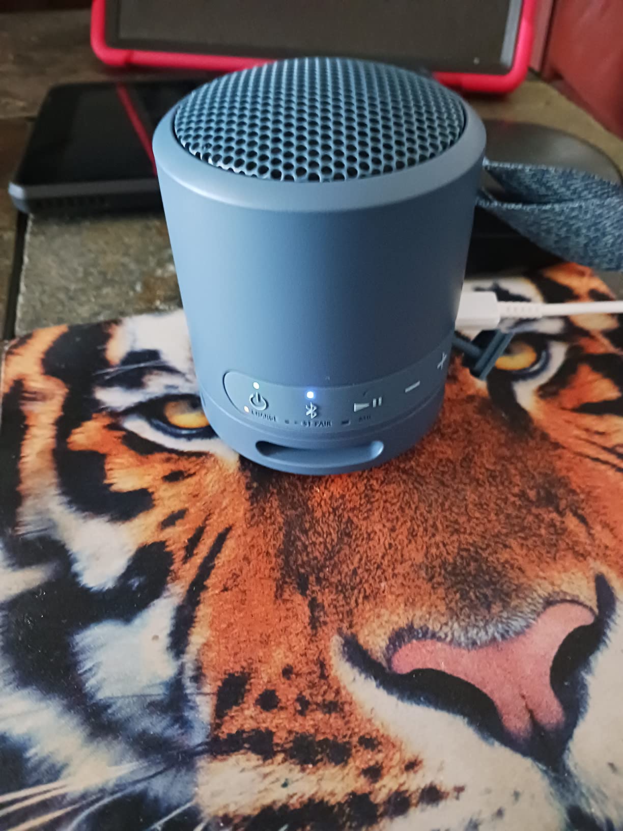 Sony SRS-XB13 EXTRA BASS Wireless Bluetooth Portable Lightweight Compact Travel Speaker, IP67 Waterproof & Durable for Outdoor, 16 Hour Battery, USB Type-C, Removable Strap, & Speakerphone, Light Blue customer photo 2