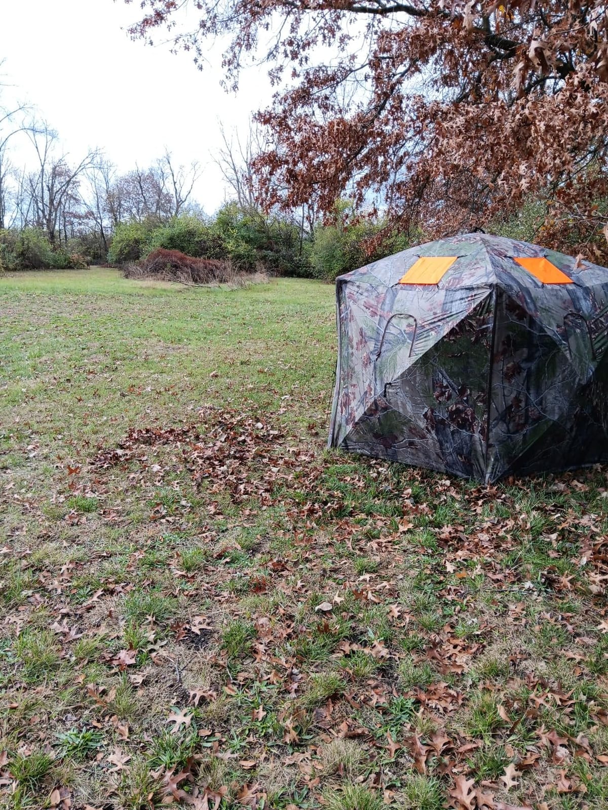Barronett Blinds Feather Five, Portable Hunting Blind, Huge Interior, Lightweight, 4-Person, Bloodtrail Backwoods, 72 x 84 x 84, FF500BW customer photo 2