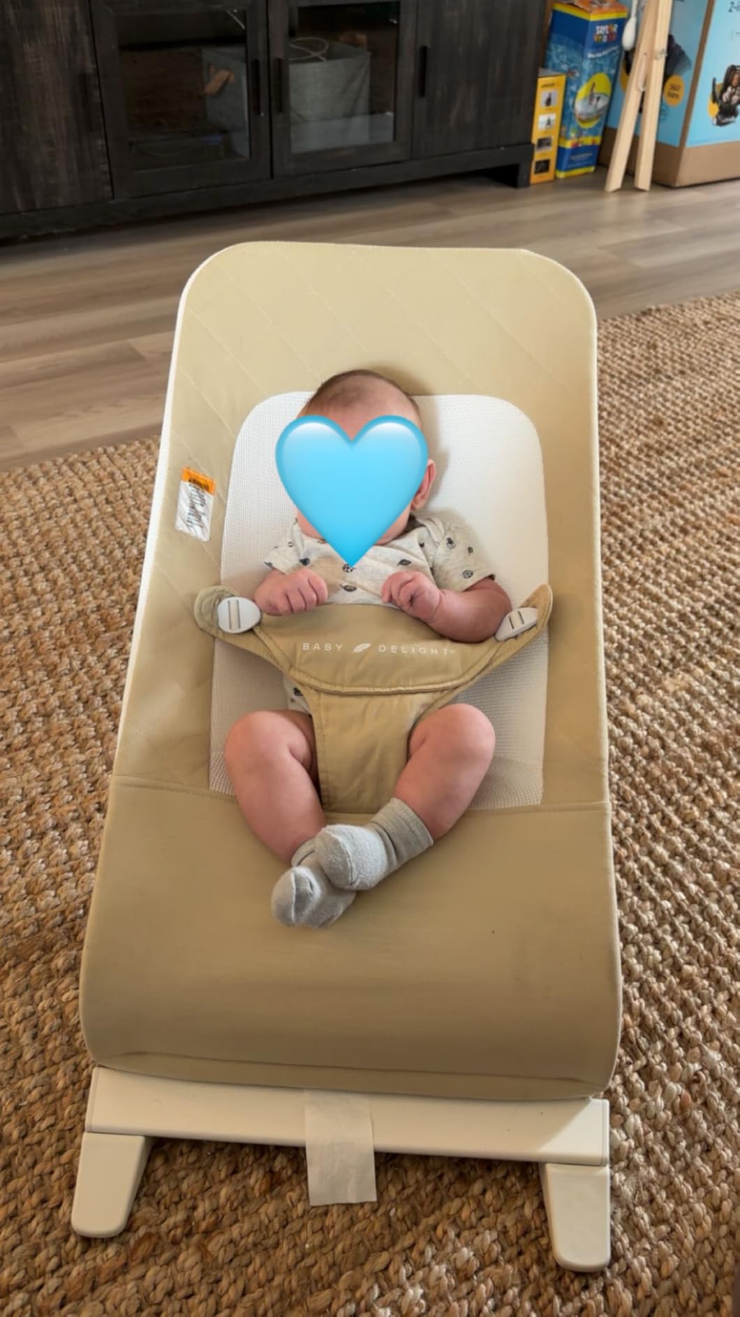 Baby Delight Alpine Deluxe Portable Bouncer, Infant, 0-6 Months, 100% GOTS Certified Cotton Fabrics, Organic Oat customer photo 2