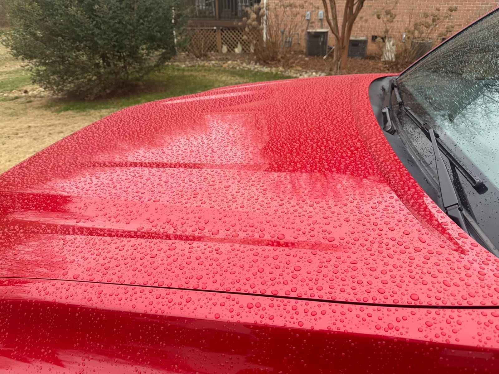 Chemical Guys Carbon Force Ceramic Paint Coating Kit, 3 Applicators, 1 oz | Pro-grade ceramic coating adds deep gloss and lasting hydrophobic protection, includes three microsuede applicators customer photo 1