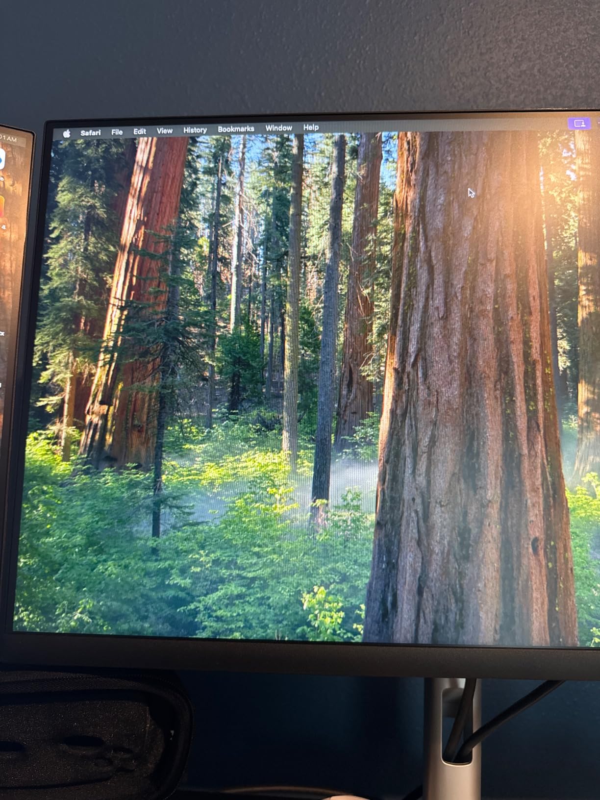 Dell 24 Monitor - P2422H - Full HD 1080p, IPS Technology, ComfortView Plus Technology customer photo 1