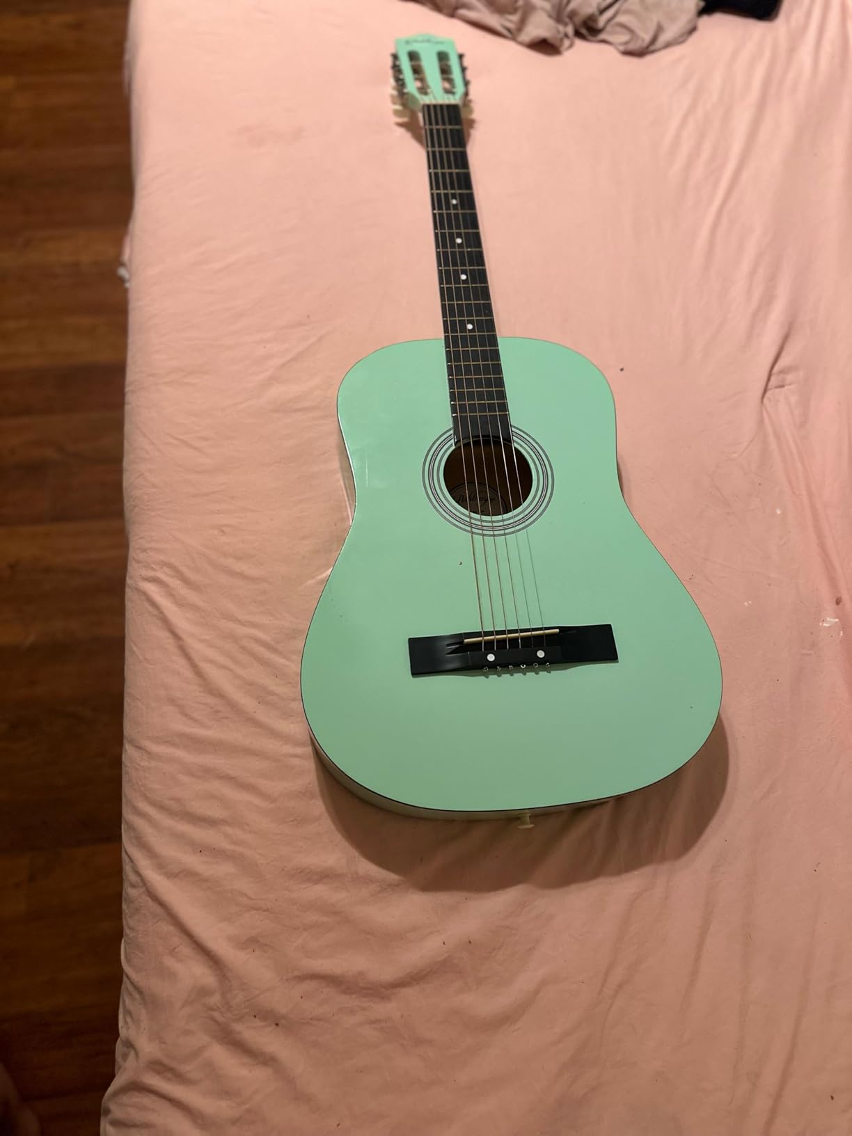Ashthorpe 30-inch Kids Acoustic Guitar (Blue), Beginner Starter Kit with Gig Bag, Extra Strings, Strap, Picks, and Lessons customer photo 1