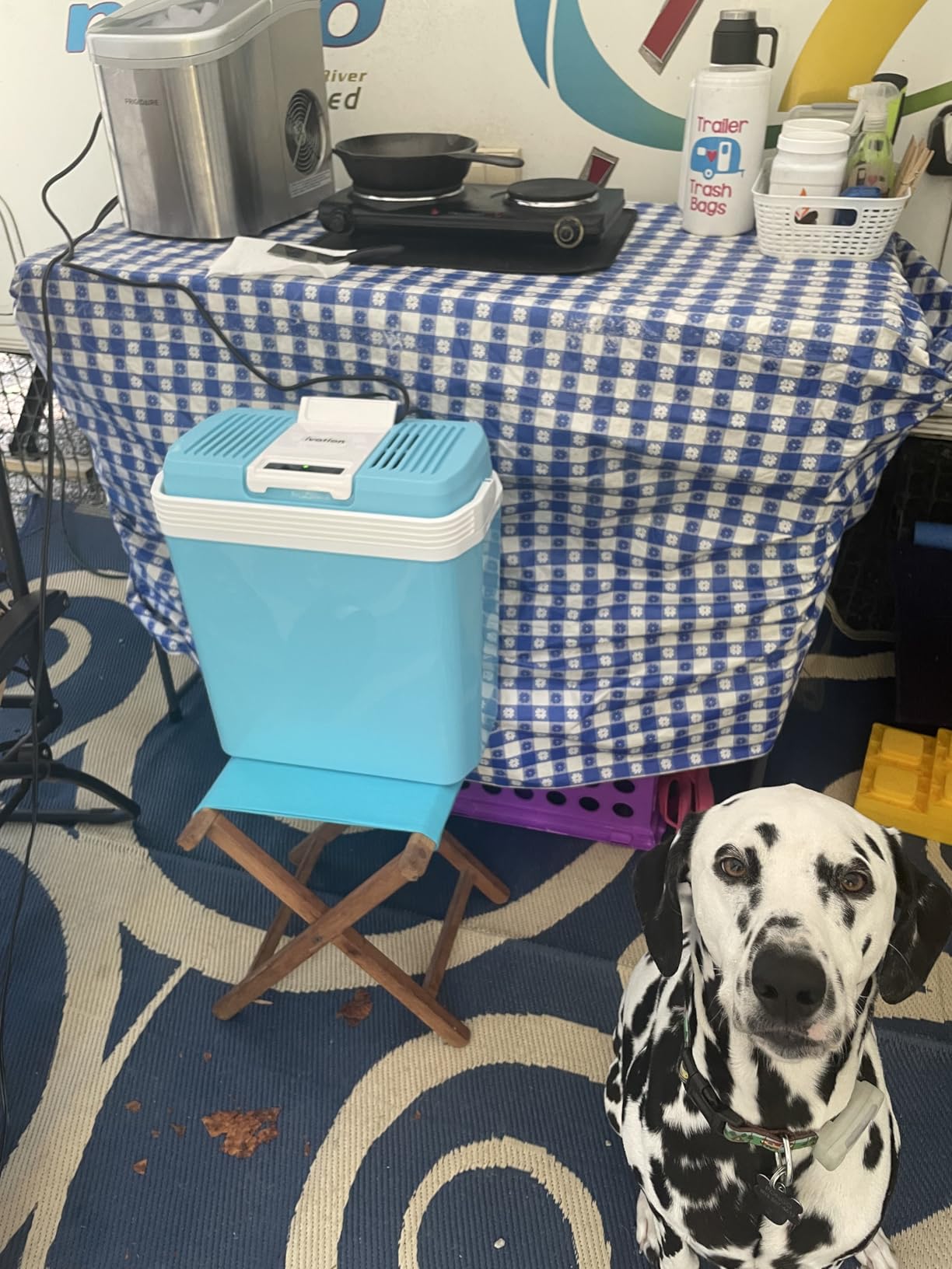 Ivation Electric Cooler & Warmer, Portable Thermoelectric Fridge w/Handle | for Vehicles & Trucks | Includes 110V AC Home Power Cord & 12V DC Car Adapter for Camping, Travel & Picnics, 24L customer photo 2