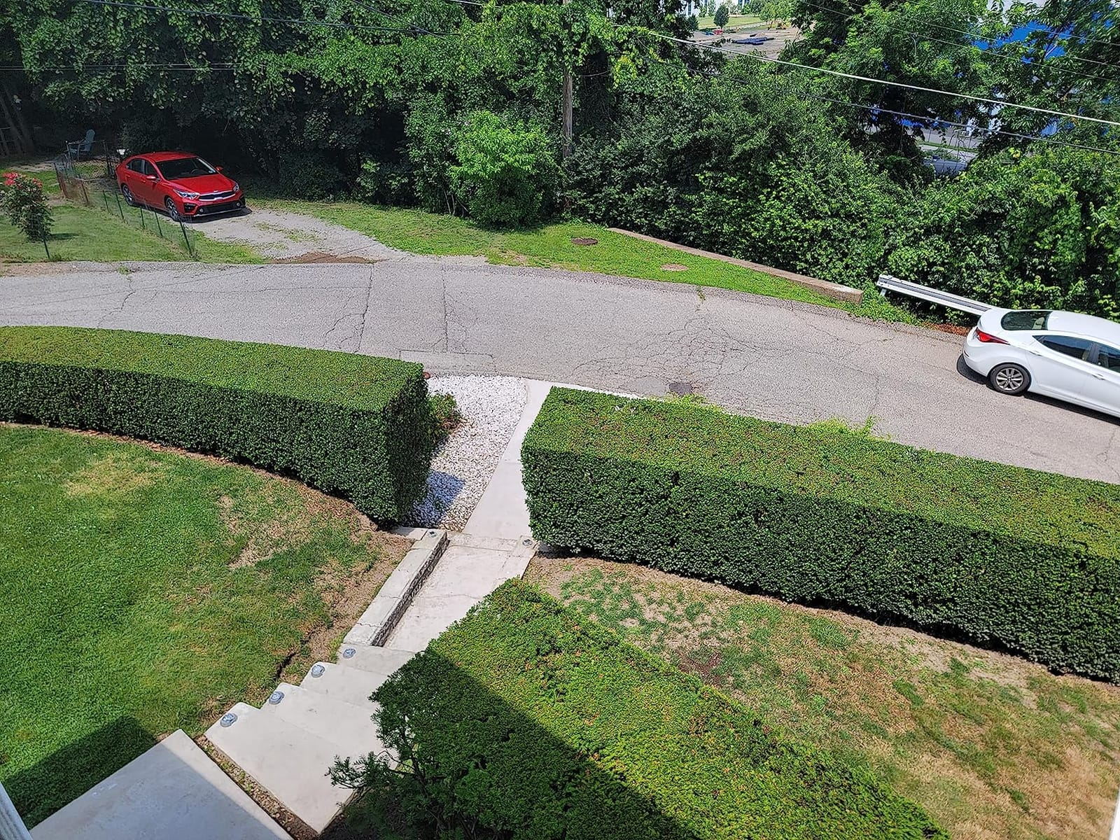 Ryobi 40V HP Brushless 26 in. Cordless Battery Hedge Trimmer with 2.0 Ah Battery and Charger customer photo 1
