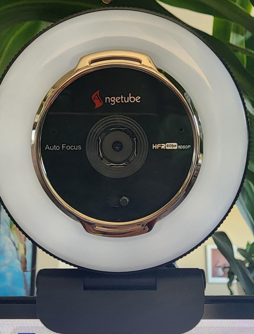 Angetube Streaming Webcam with Microphone, USB 1080P Web Cam w/Ring Light | Remote Control, 1080P@60FPS, 5X Digital Zoom, Built in Privacy Cover, HD Computer Web Camera for Desktop, PC, Laptop, Mac customer photo 1