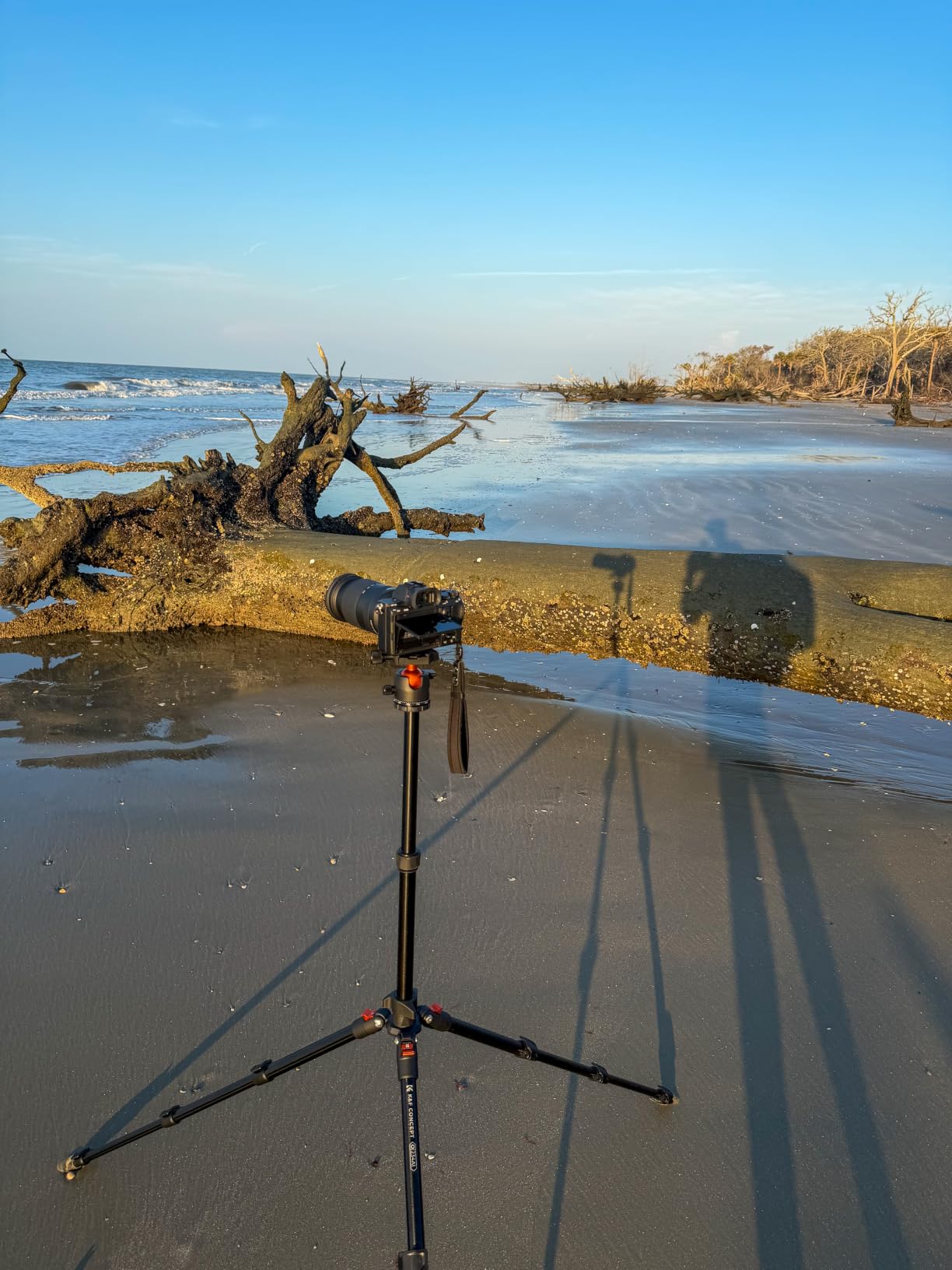 K&F Concept 64 inch/163cm Lightweight Aluminum Travel Camera Tripod | Compact and Portable, 360° Ball Head, Load Capacity 17.6lbs, DSLR Photography and Smartphone Live Streaming Vlog O234A1+BH-36 customer photo 1