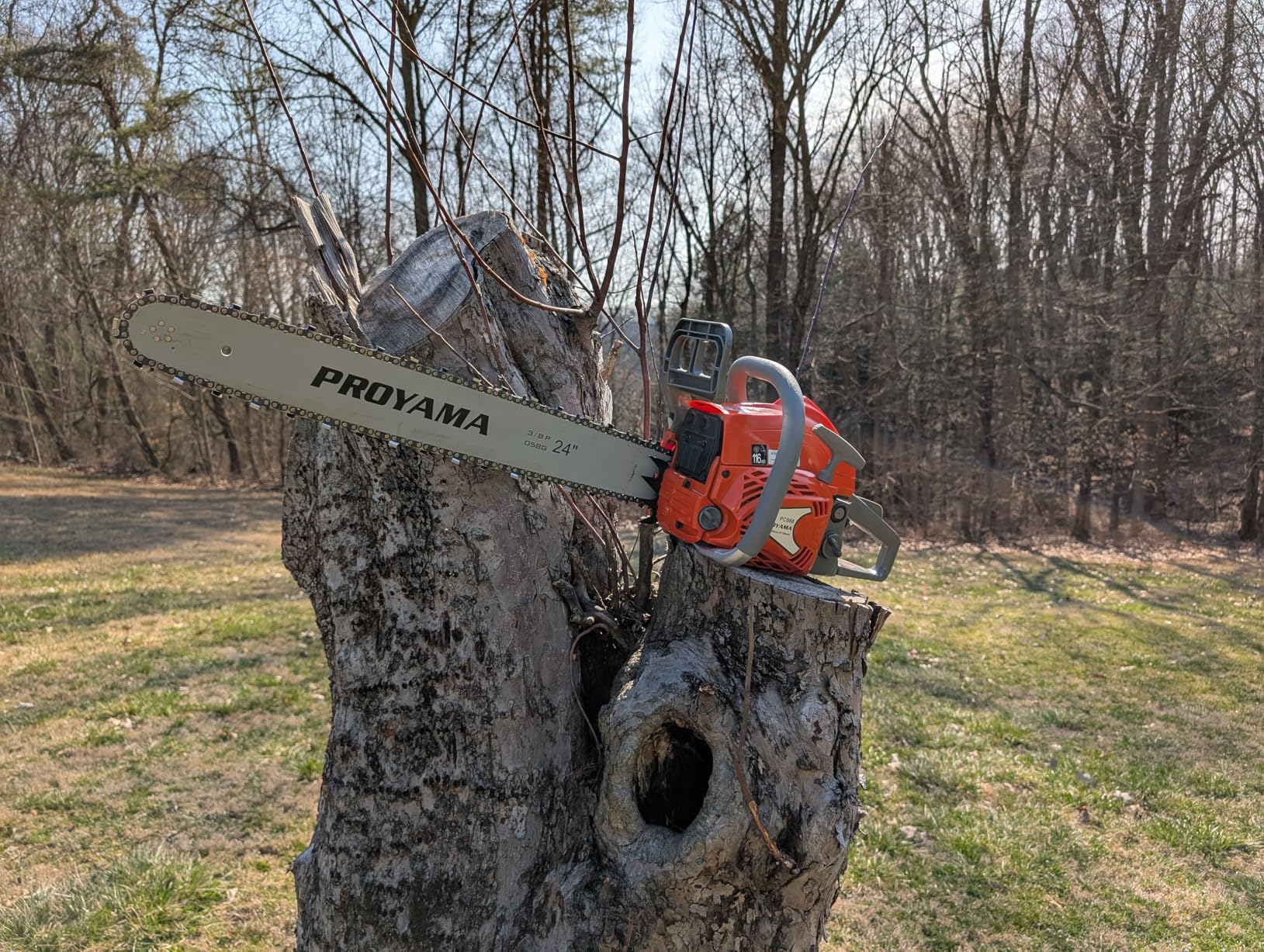PROYAMA 68CC 2-Cycle Top Handle Gas Powered Chainsaw 24 Inch 20 Inch Petrol Handheld Cordless Chain Saw for Tree Wood Cutting customer photo 1