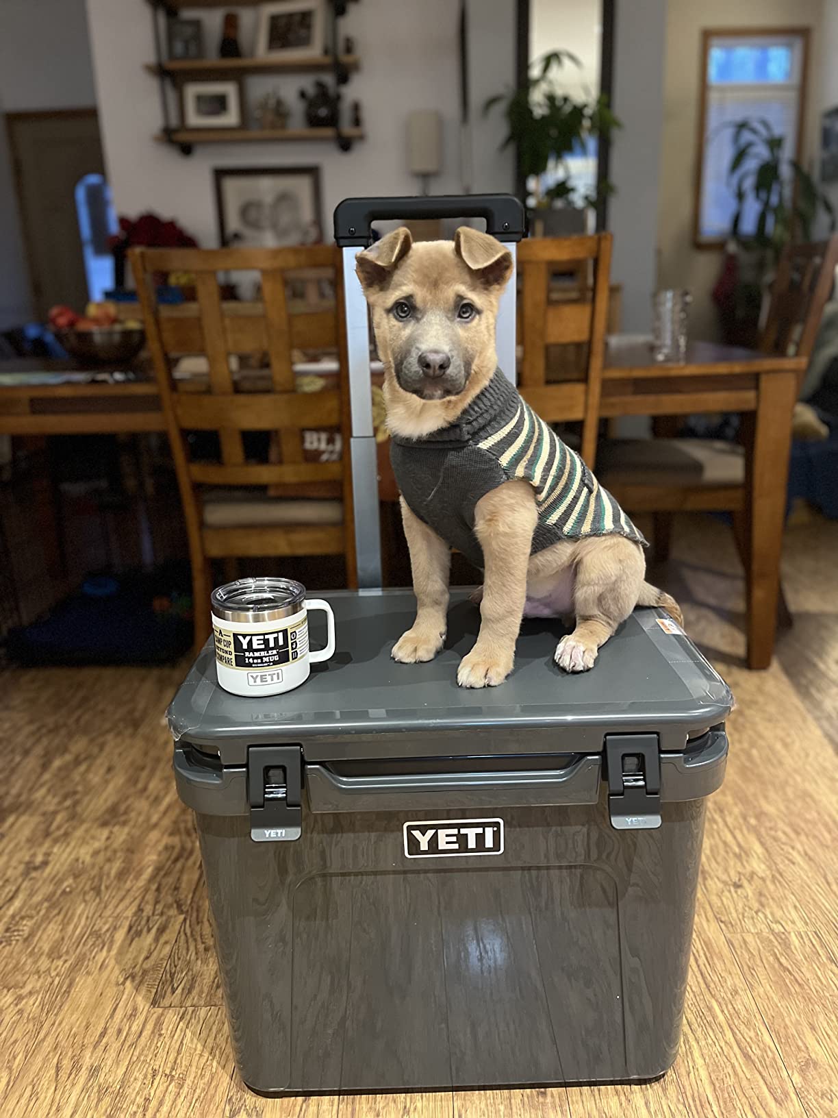 YETI Roadie 60 Wheeled Cooler with Retractable Periscope Handle customer photo 2