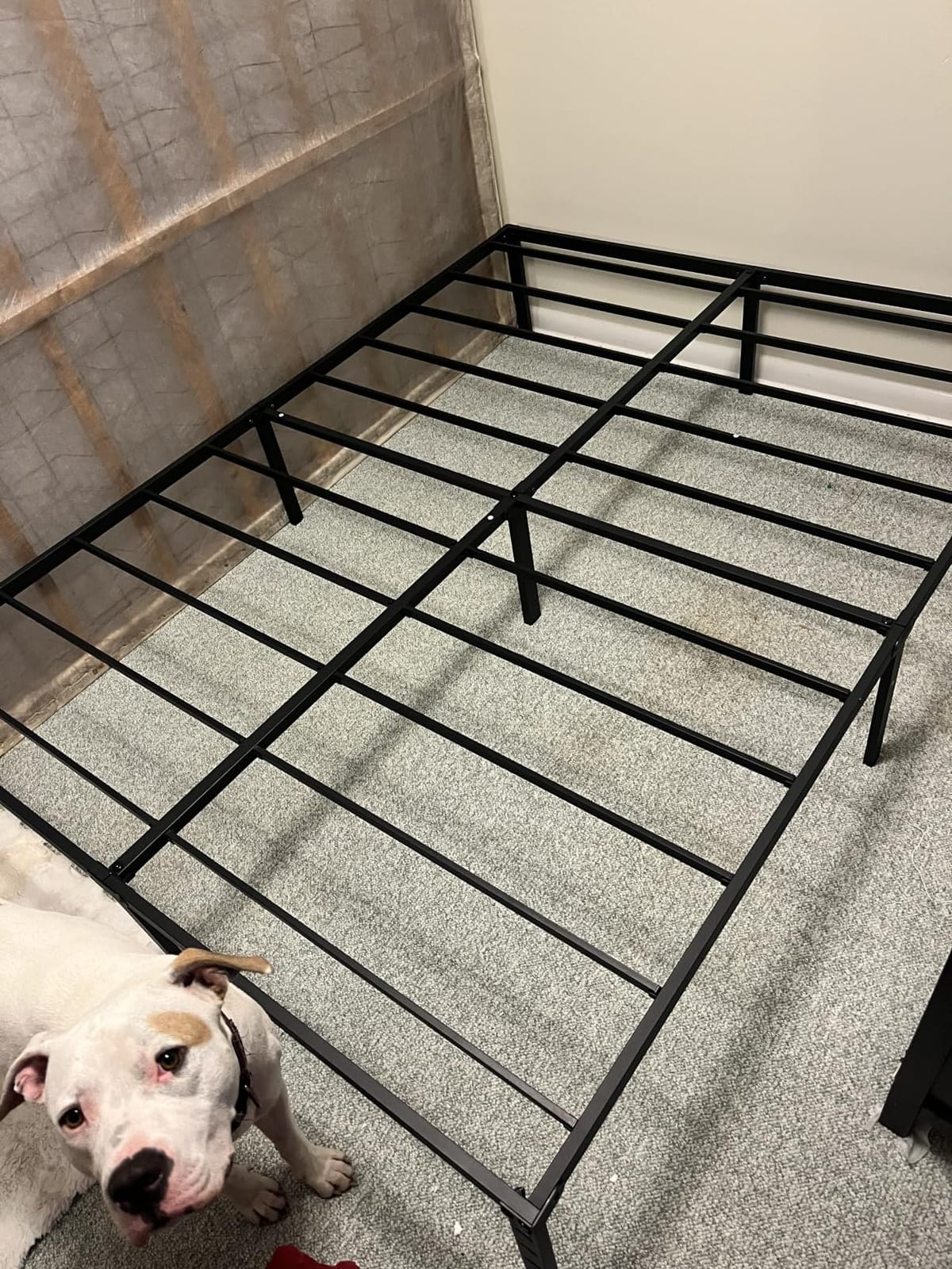 NEW JETO Metal Bed Frame,Queen Size Bed Frame with Storage Space,14 Inch customer photo 2