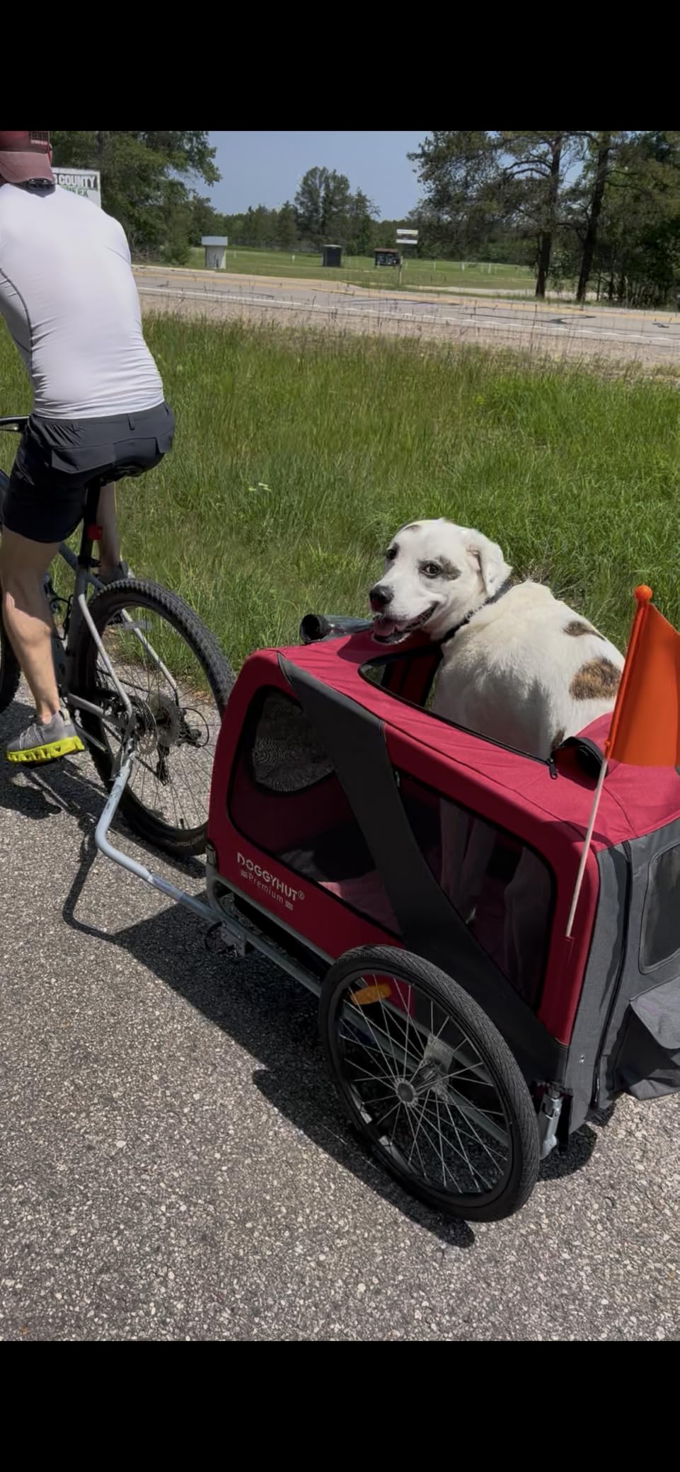 DOGGYHUT Premium X Large Pet Bike Trailer Up to 100 lbs (Gray) | Bicycle Trailer for Small Medium or Large Dogs, Dog Bicycle Carrier, Low Center of Gravity, Folding Frame Cart customer photo 1