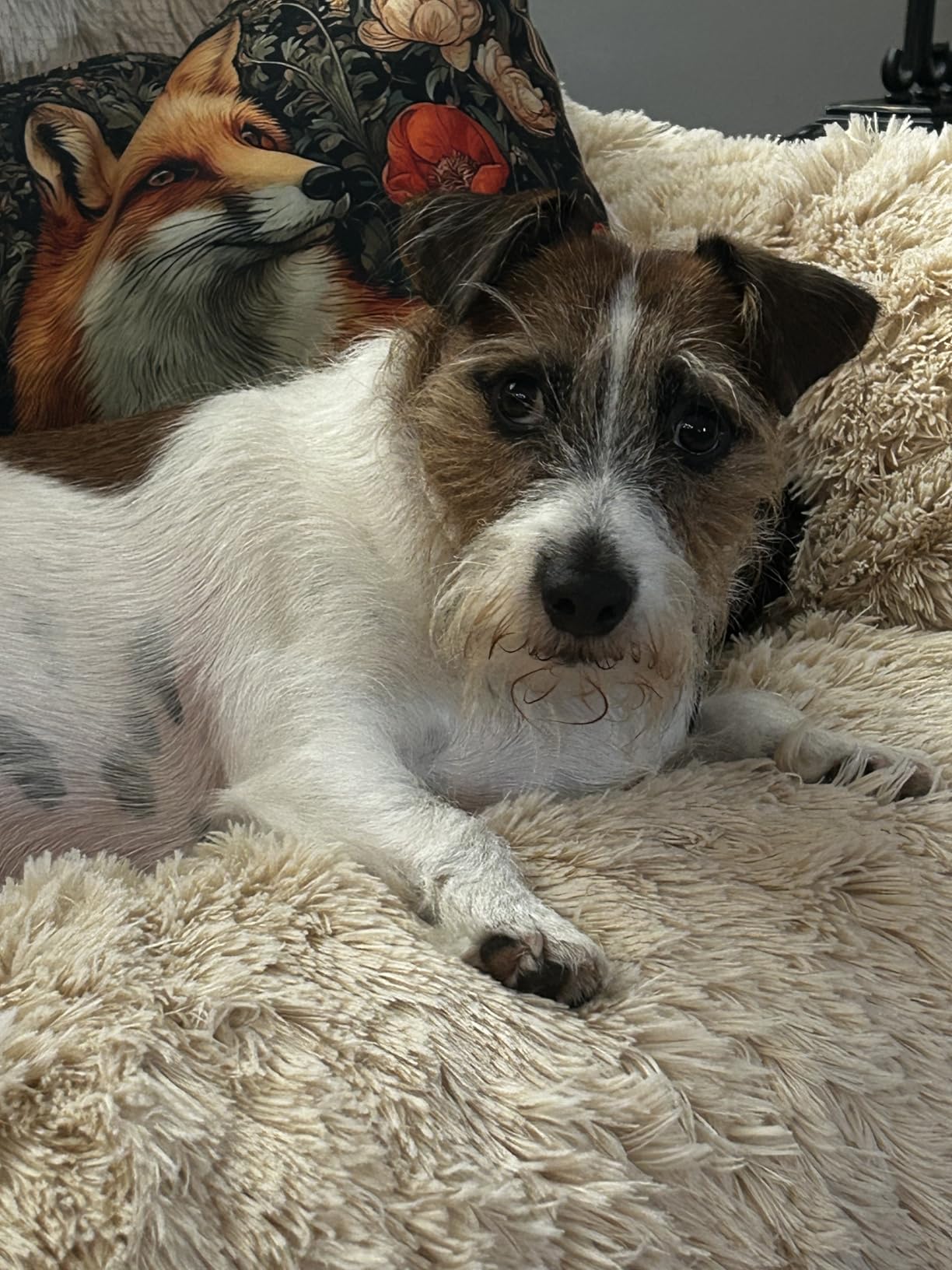 Bedsure Faux Fur Fluffy Sherpa Throw Blanket Twin Tie Dye Navy 60