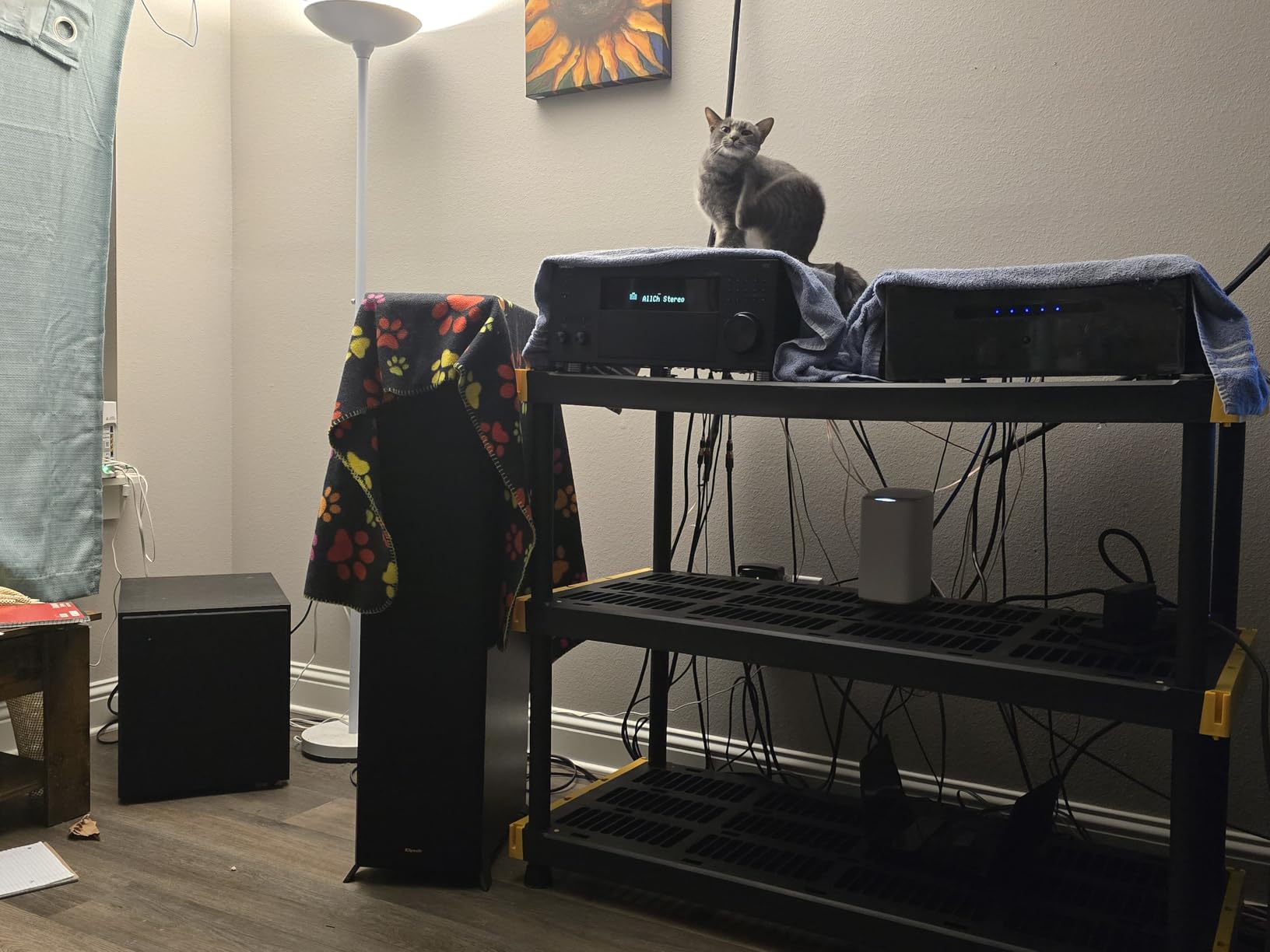 Onkyo TX-RZ70 11.2-Channel AV Receiver - 140 Watts Per Channel, Dirac Live Out of Box, Works with Sonos Certified, THX Certified and More customer photo 1