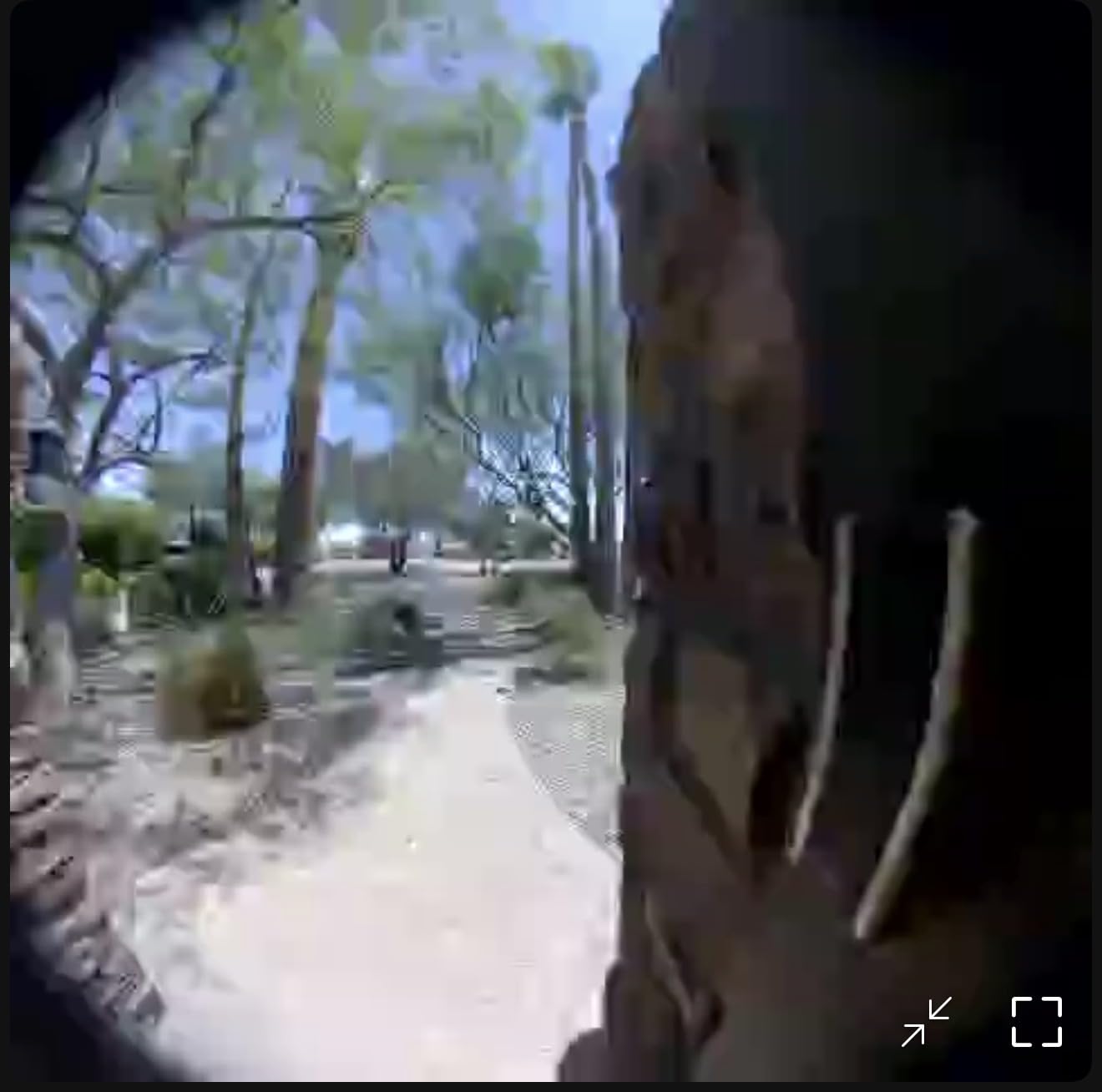 Ring Battery Doorbell, Home or business security with Head-to-Toe video, Live View with Two-Way Talk, and Motion Detection & Alerts, Venetian Bronze customer photo 2