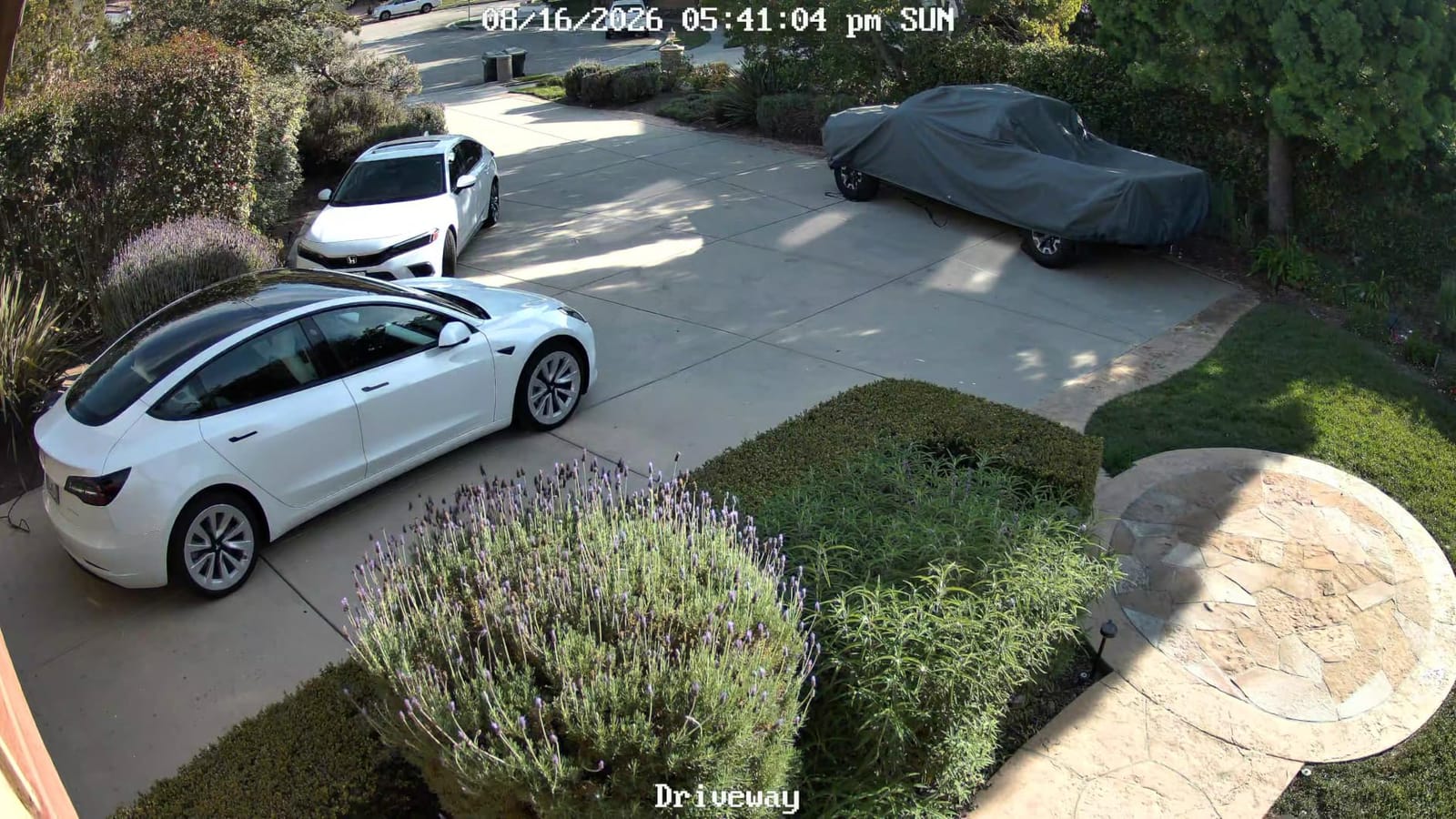 Argus PT Ultra First 4K Solar Security Cameras Wireless Outdoor | 360° Pan Tilt Auto-Tracking, 8MP Color Night Vision, 2.4/5 GHz Wi-Fi 6, No Subscriptions, Home Hub Compatible customer photo 1