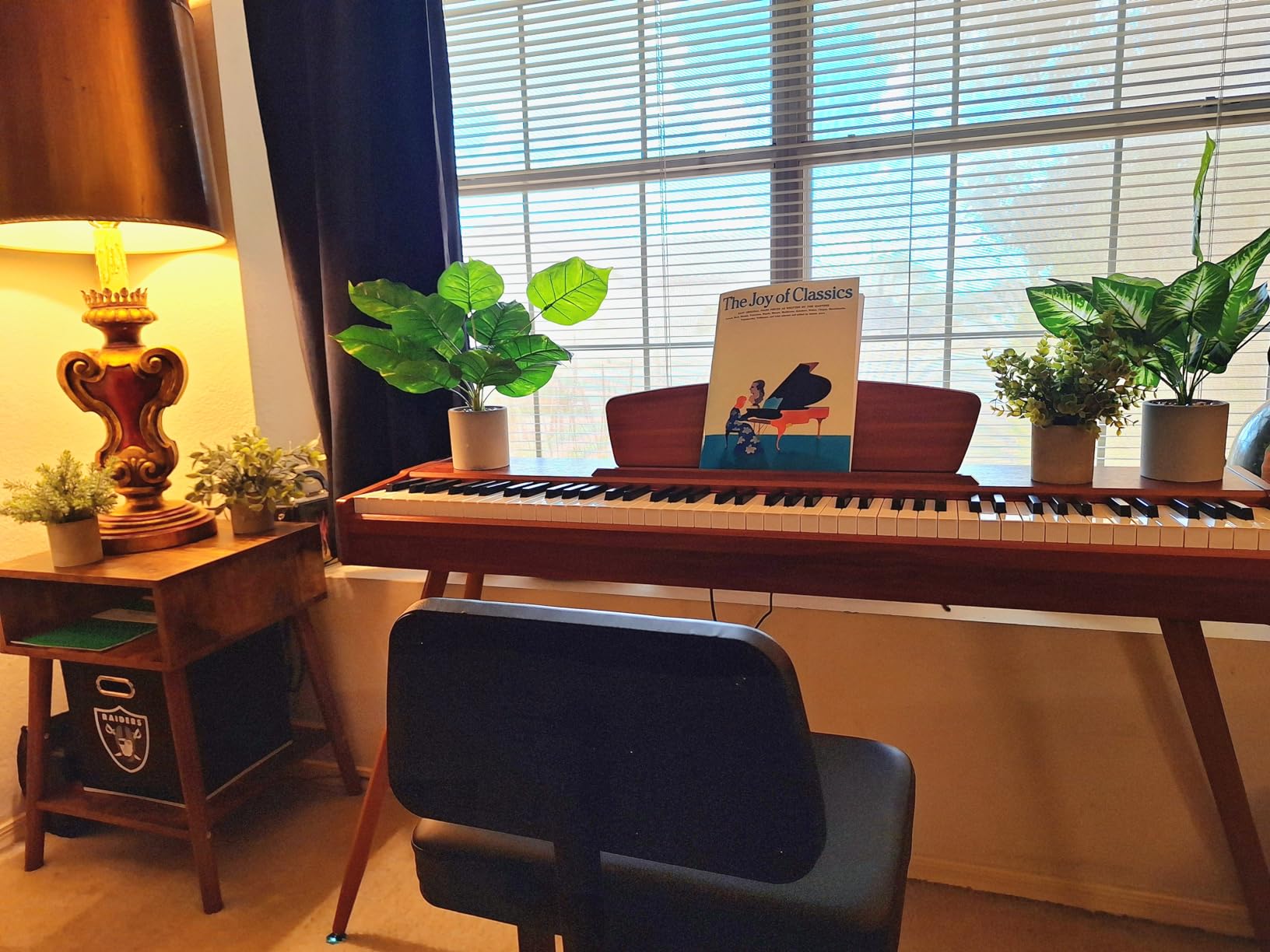Donner DDP-80 PLUS Digital Piano 88 Key Weighted Keyboard, Home Electric Piano, Supports USB-MIDI & Headphones Connection, Semi-open Cover Designed, with Metal Three Pedal, Power Adapter customer photo 1